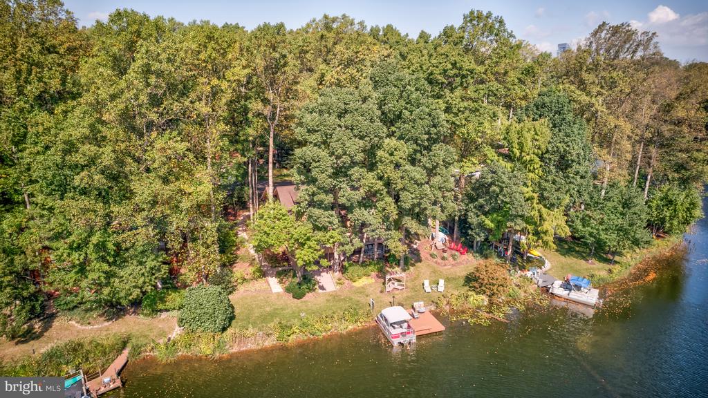 11419 Purple Beech Dr