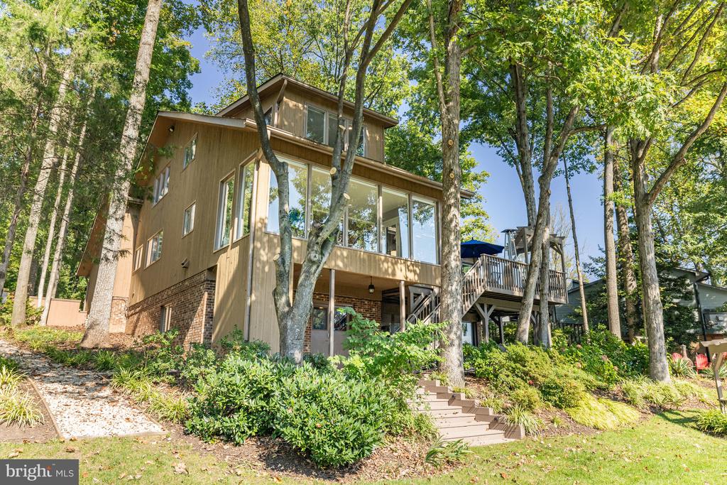 11419 Purple Beech Dr