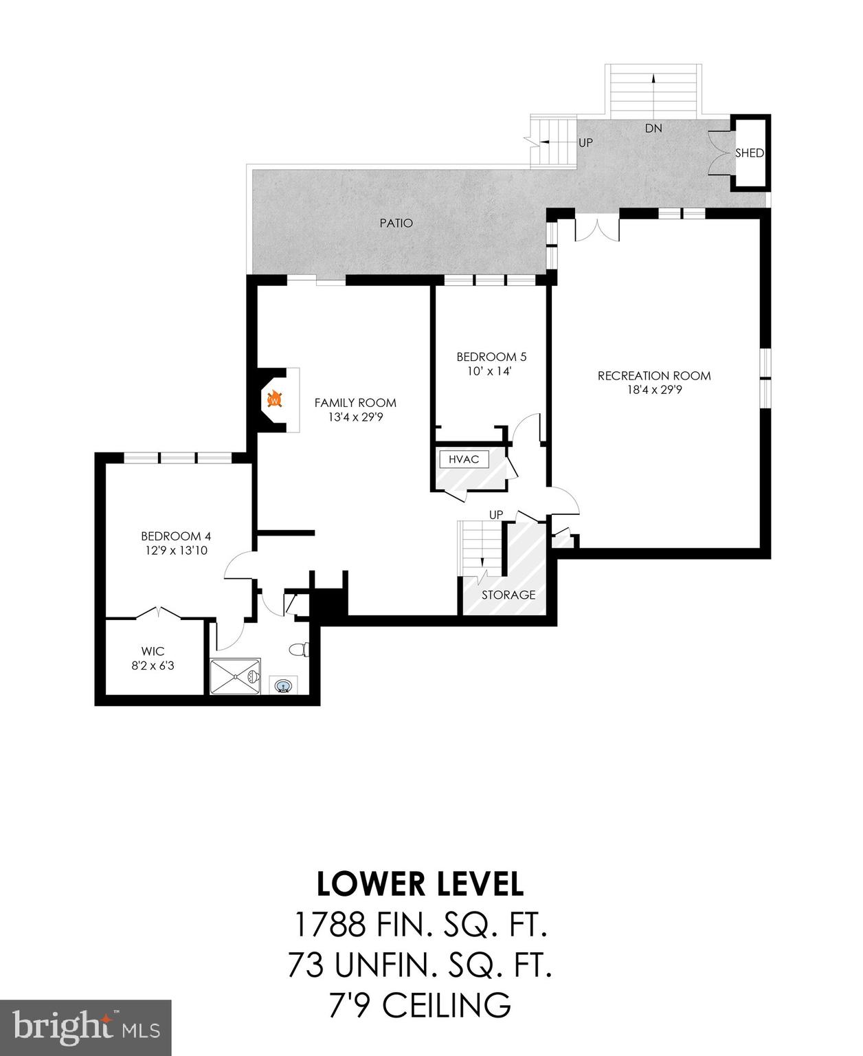 11419 Purple Beech Dr