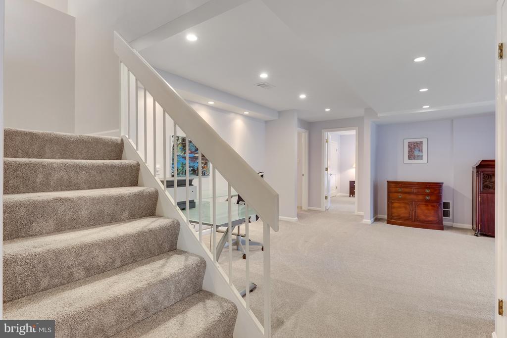 11419 Purple Beech Dr