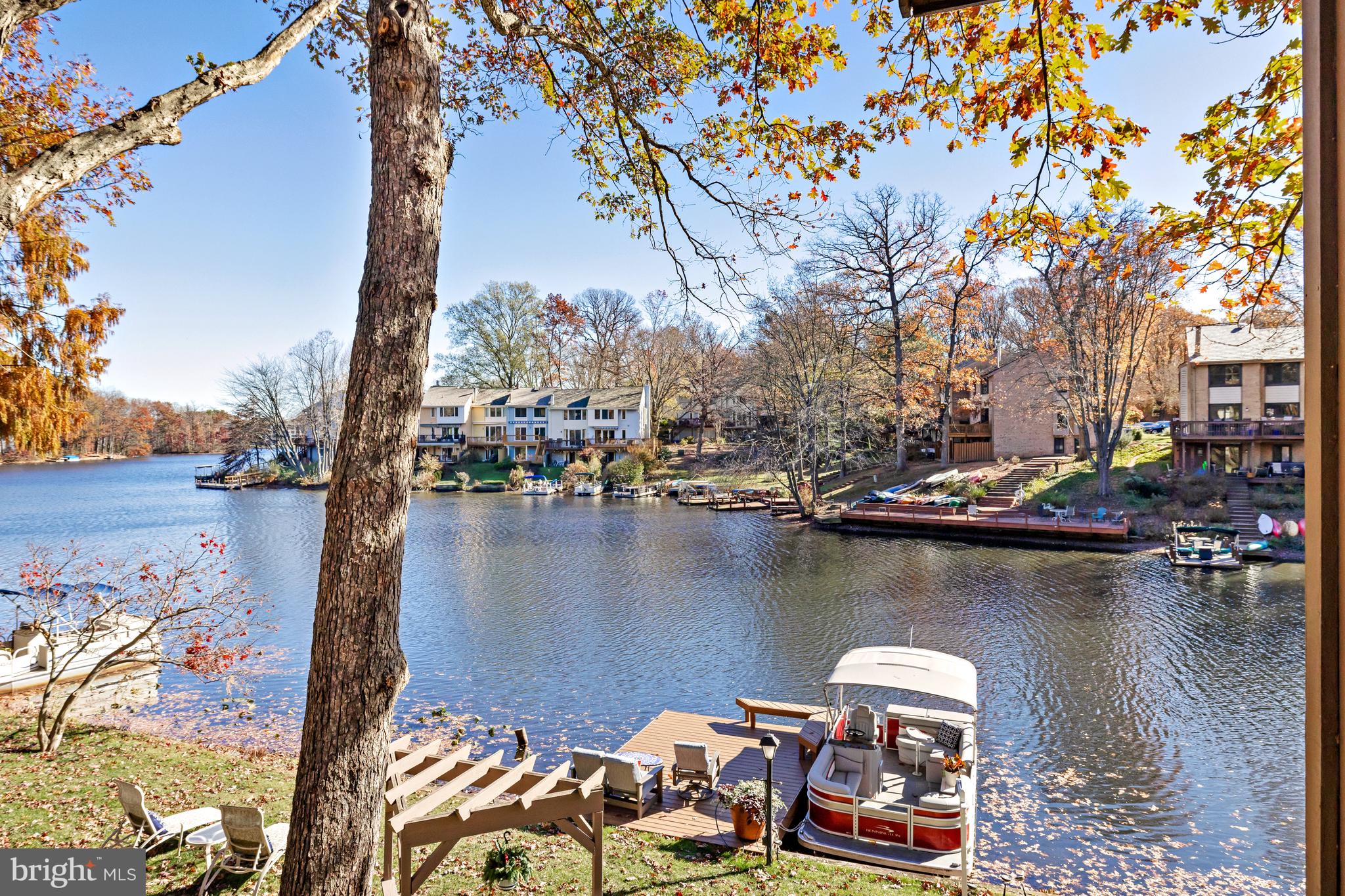 11419 Purple Beech Dr