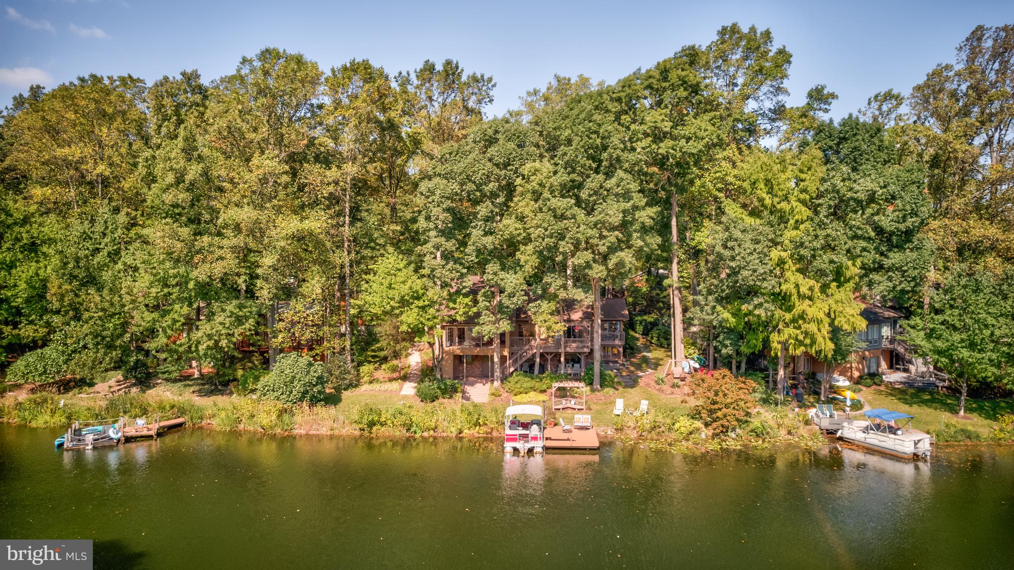 11419 Purple Beech Dr
