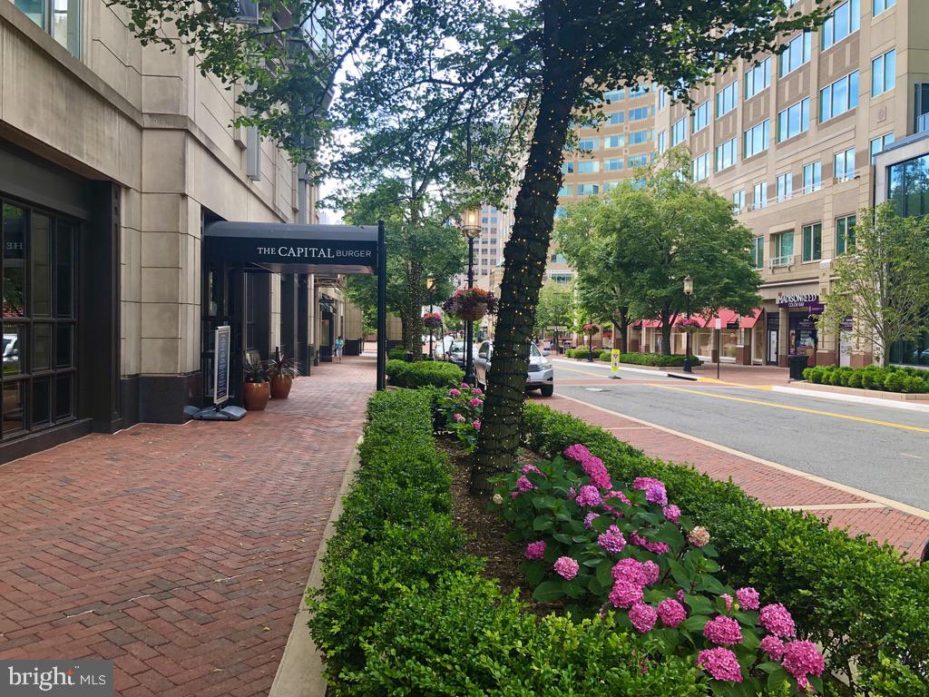 12004 TALIESIN PLACE 32