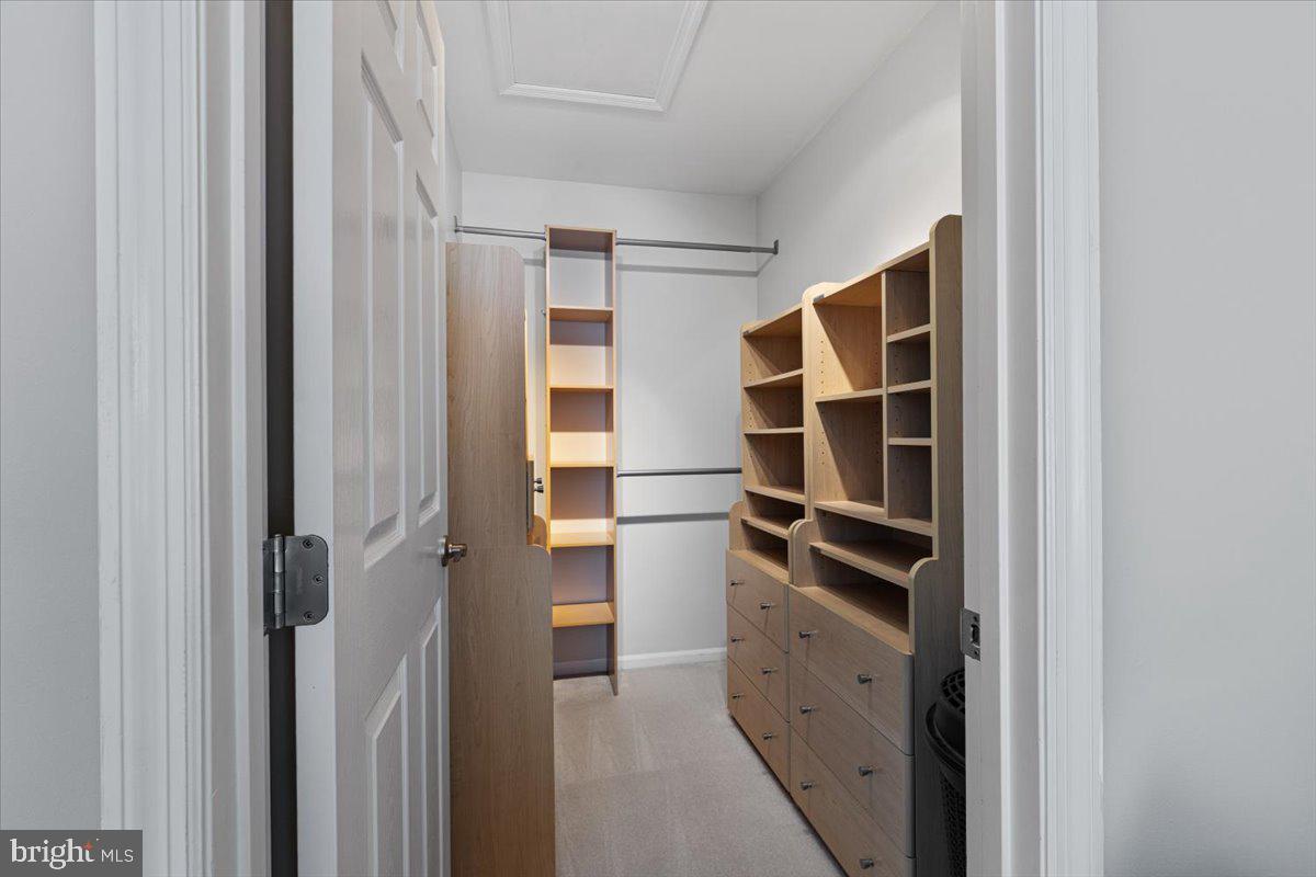 20764 WINDEMERE COURT