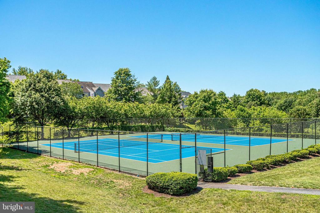 20764 WINDEMERE COURT
