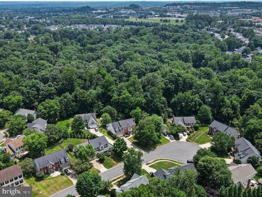 20764 WINDEMERE COURT