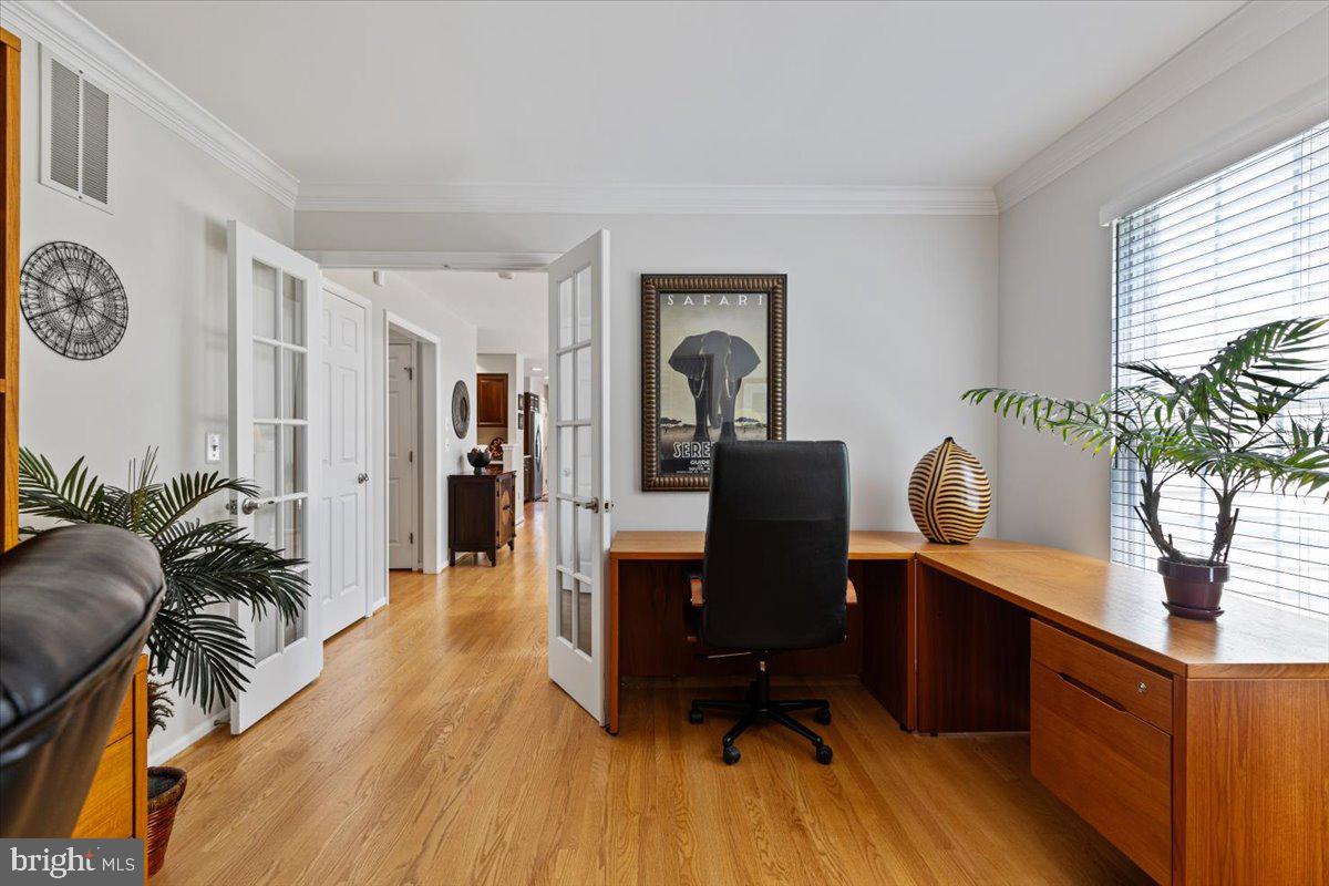 20764 WINDEMERE COURT