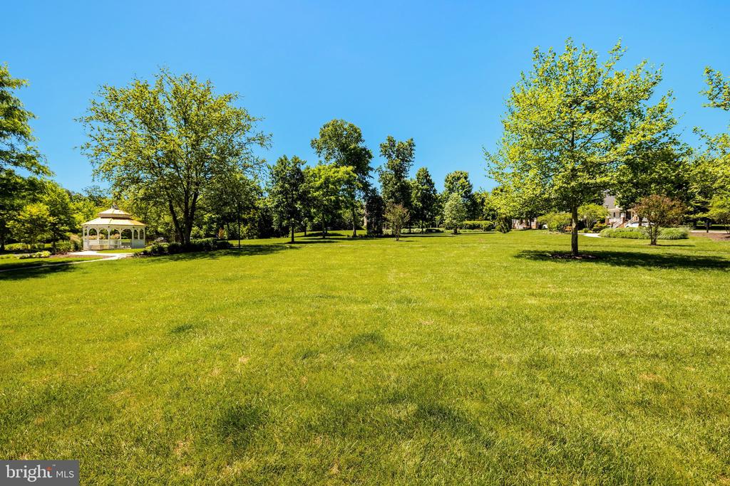 41058 DORATI SQUARE