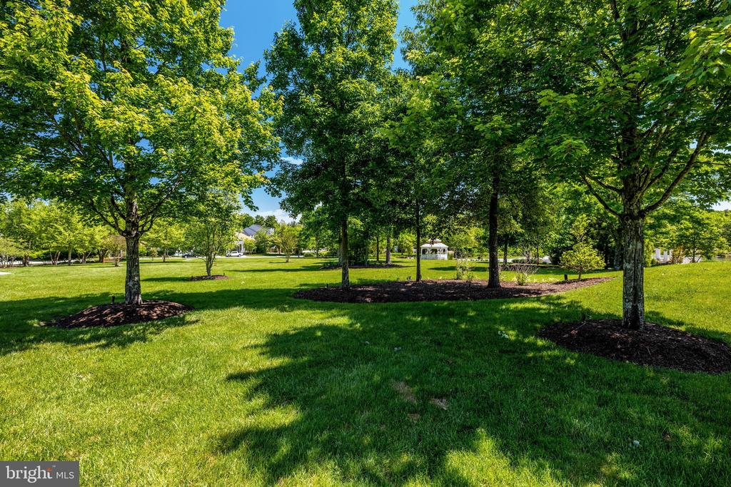 41058 DORATI SQUARE