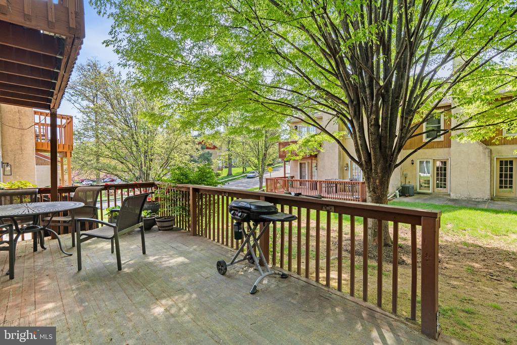 37 WHITE PINE CT