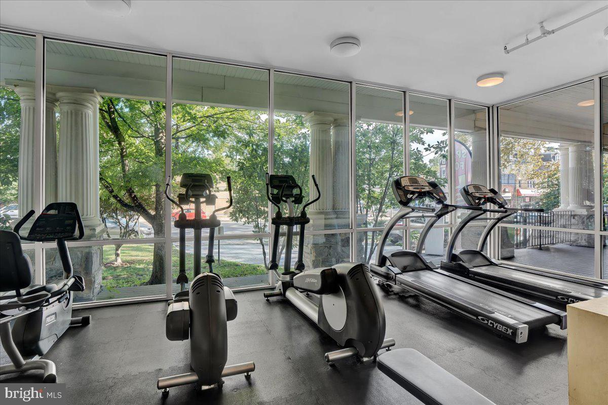 319 W CHELTEN AVENUE Unit: 410
