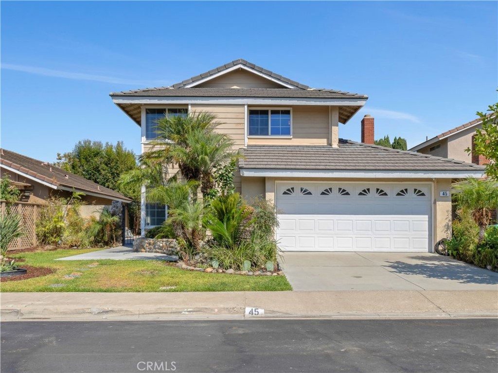 45 Shearwater