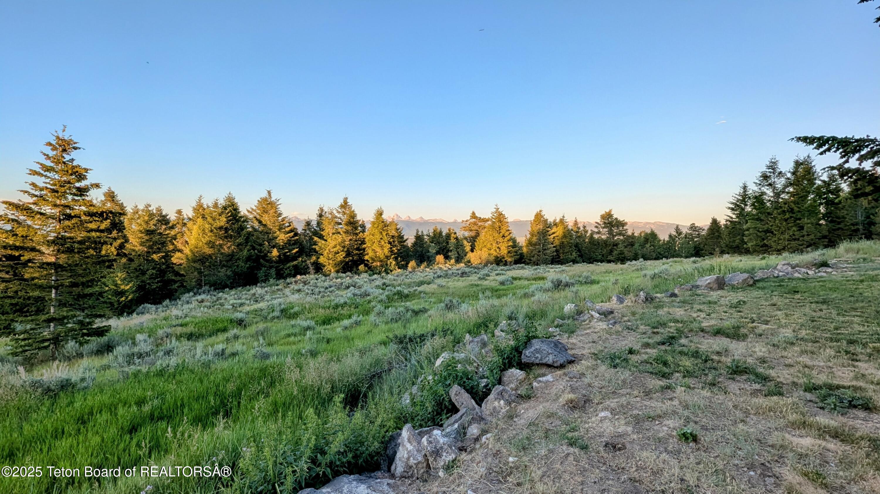 8157 RIPPLINGER Road