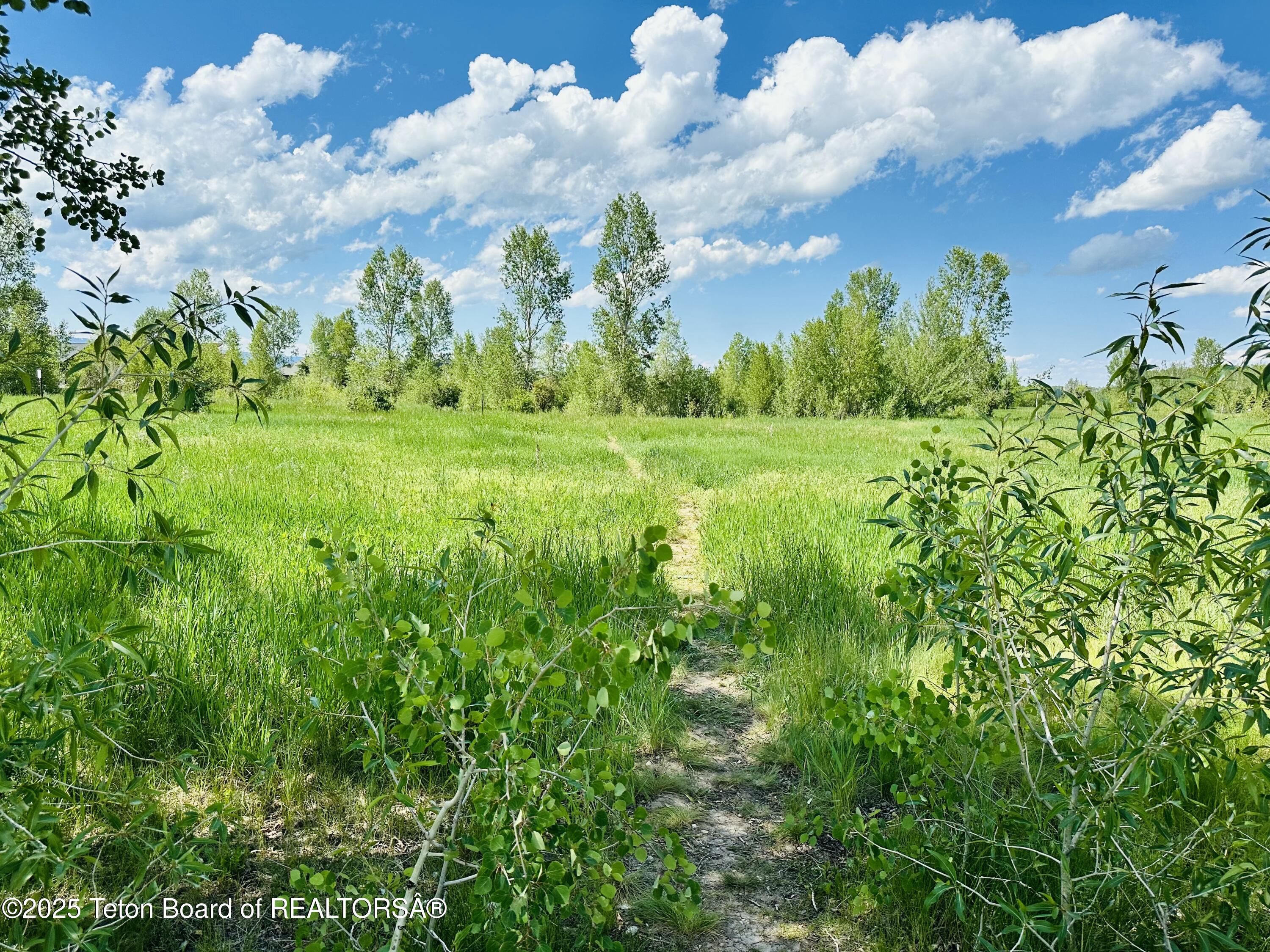 198 CATTAIL Road