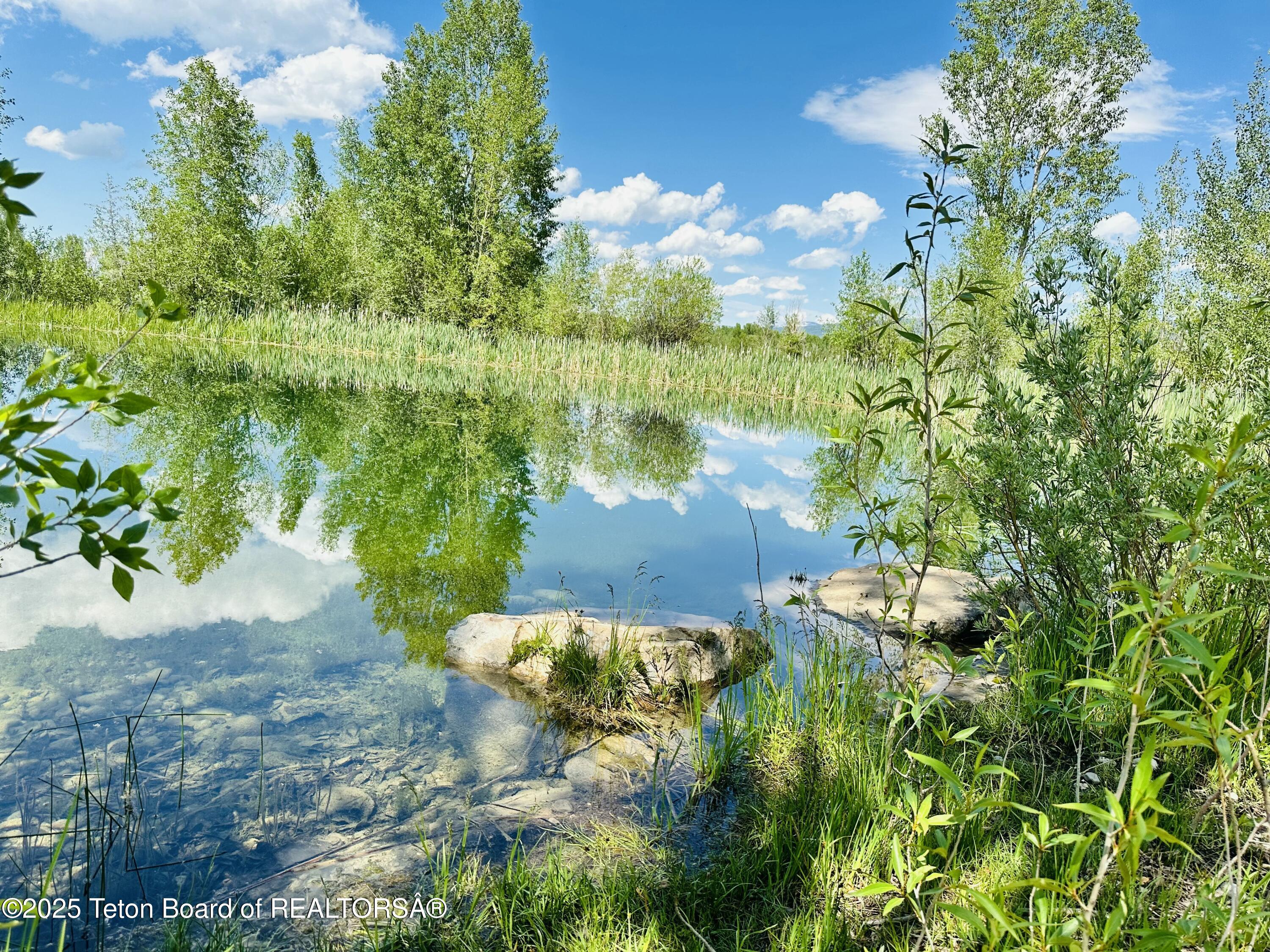 198 CATTAIL Road