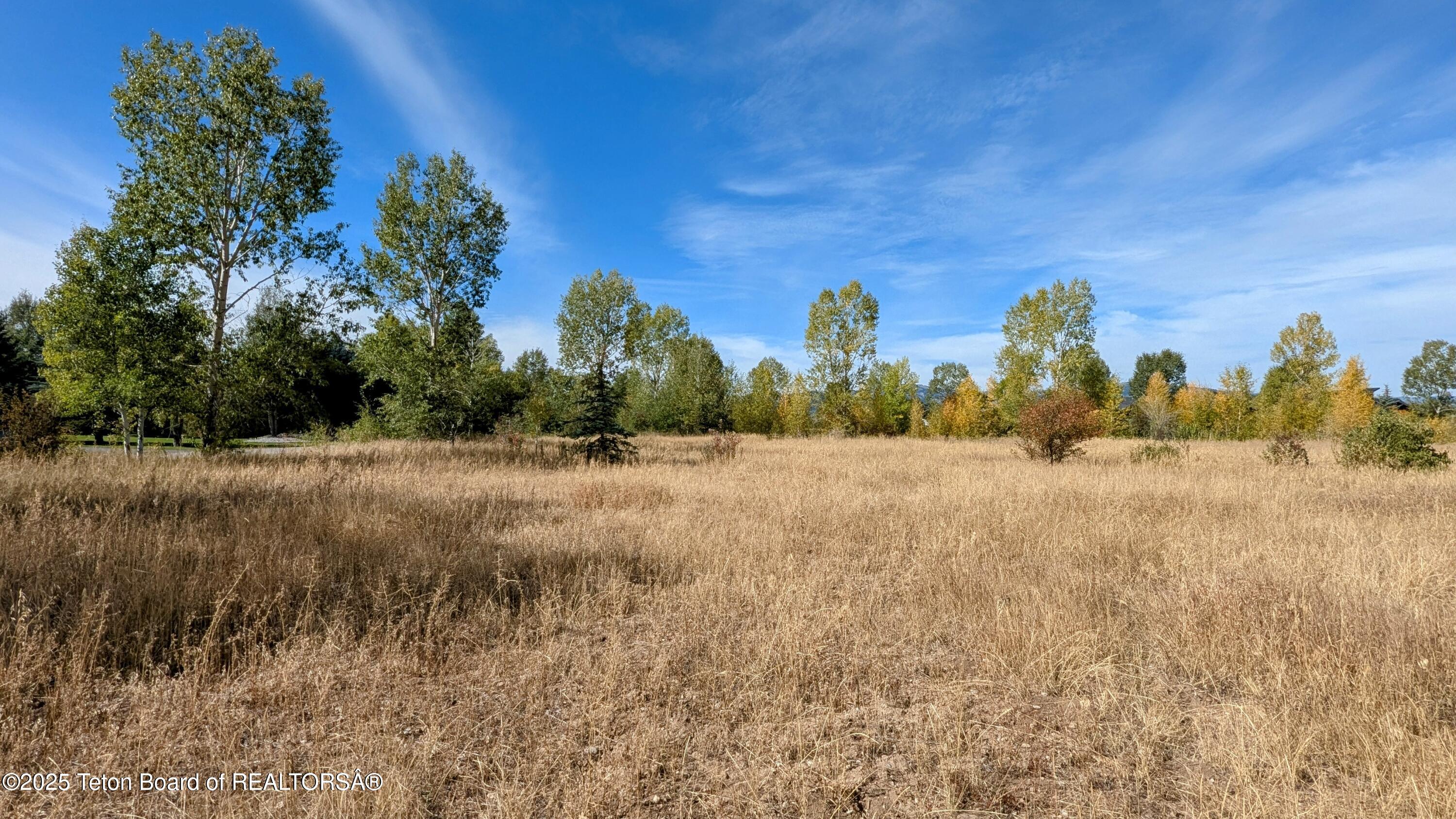198 CATTAIL Road