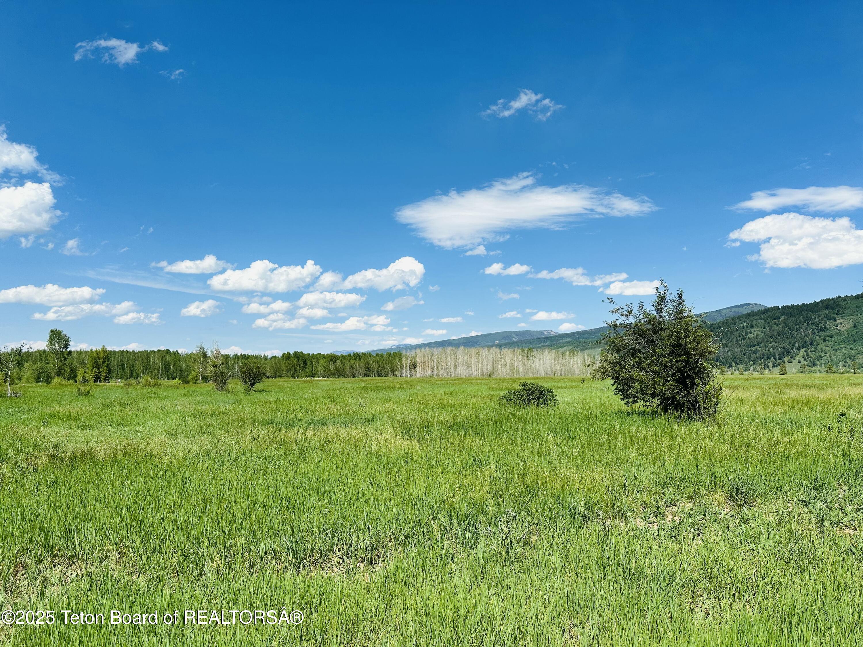 198 CATTAIL Road