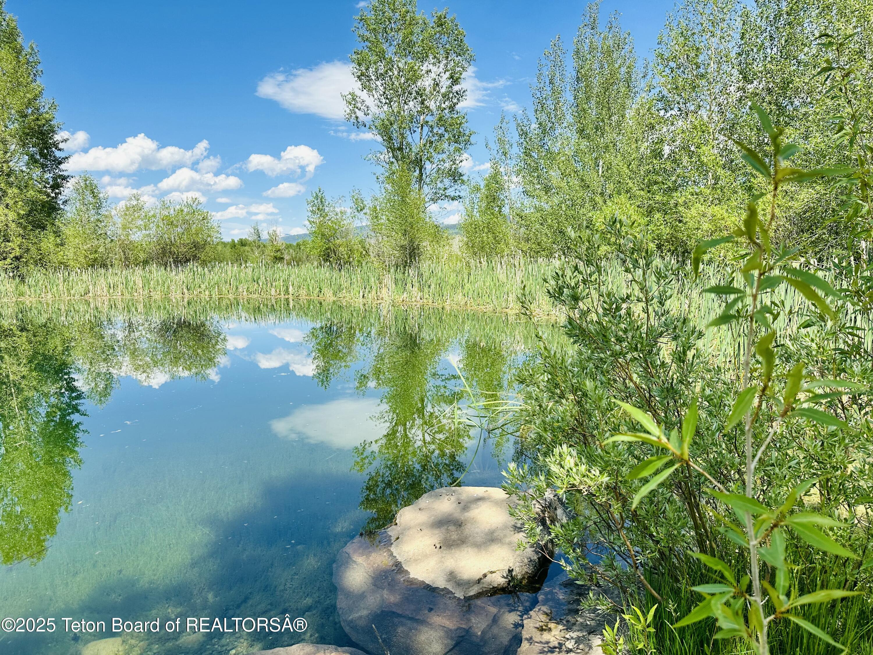 198 CATTAIL Road