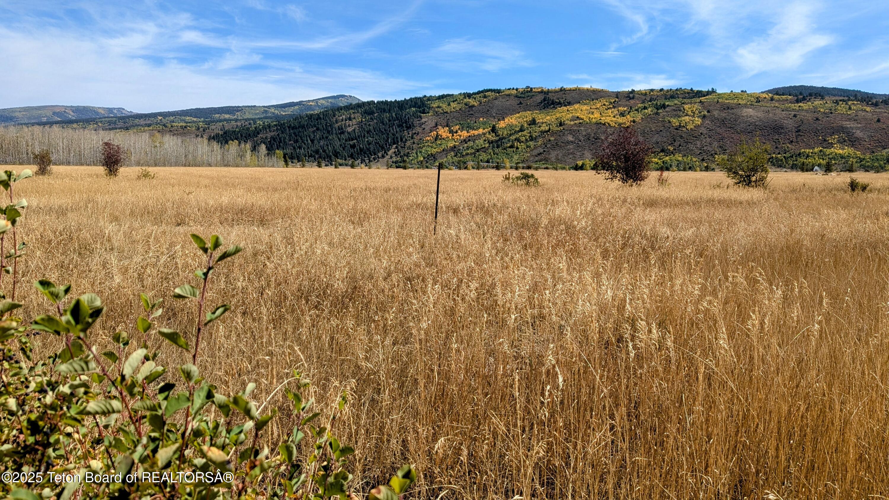 198 CATTAIL Road