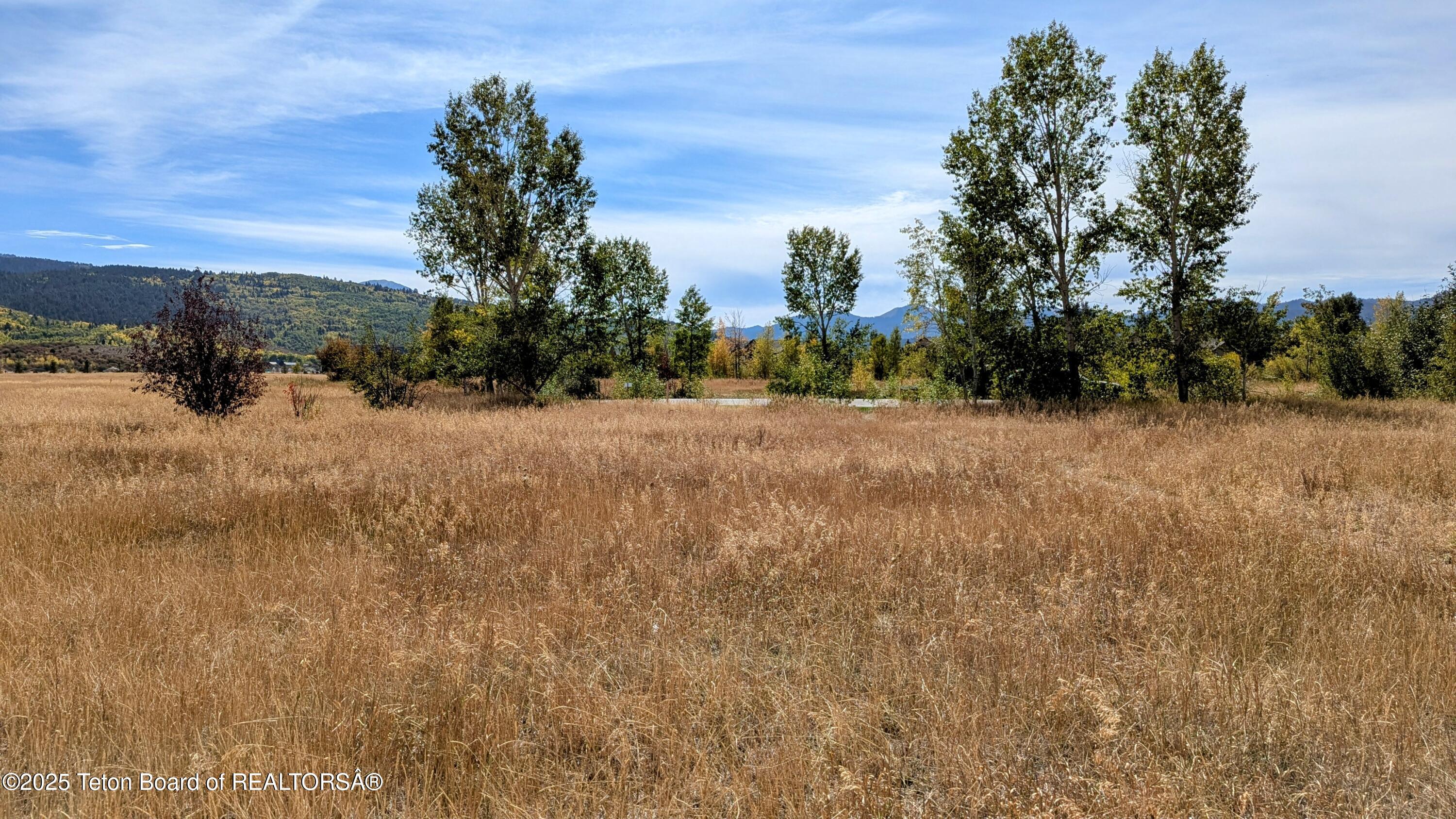 198 CATTAIL Road