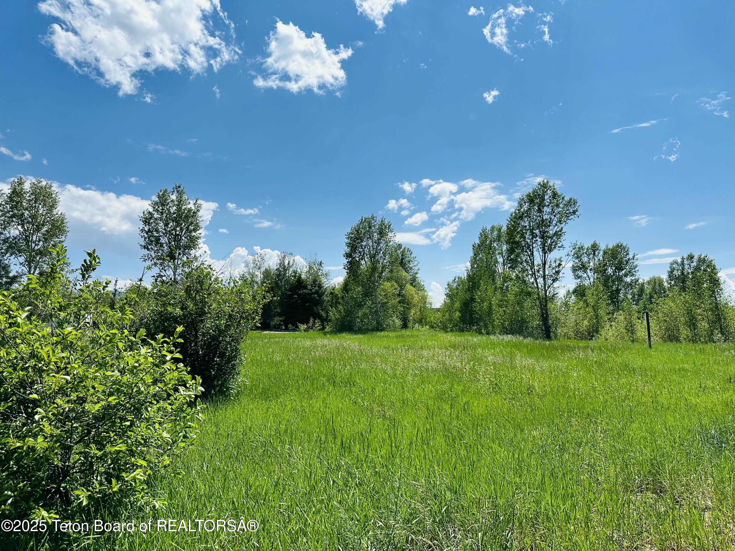 198 CATTAIL Road