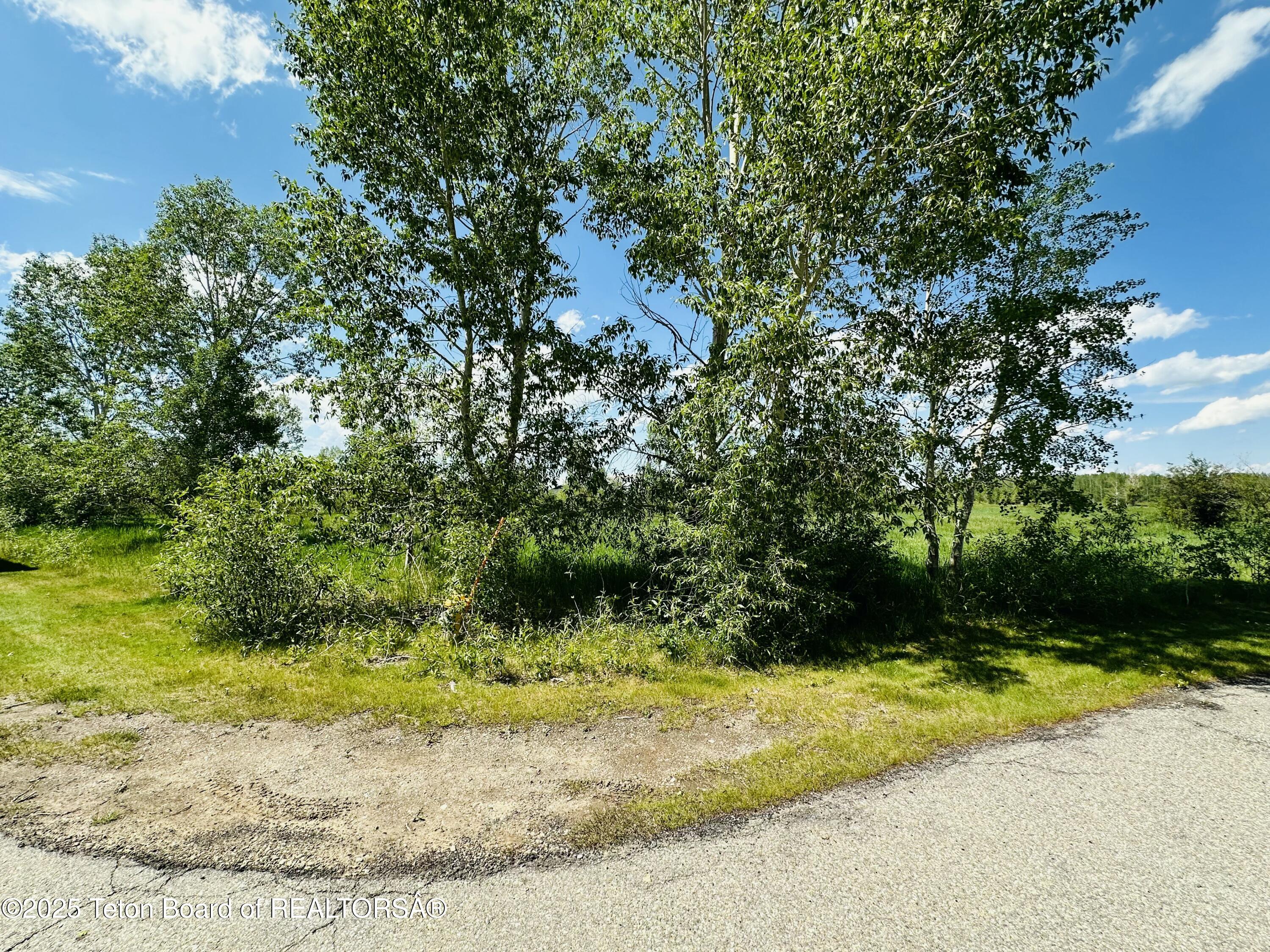 198 CATTAIL Road