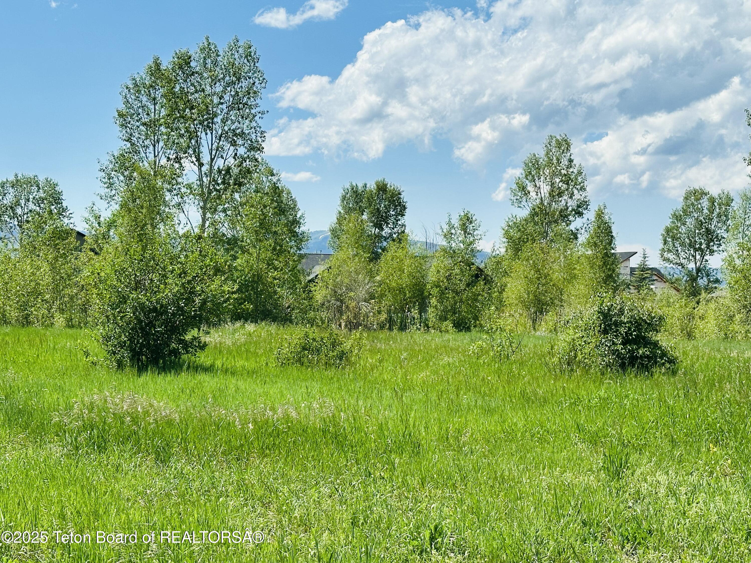 198 CATTAIL Road