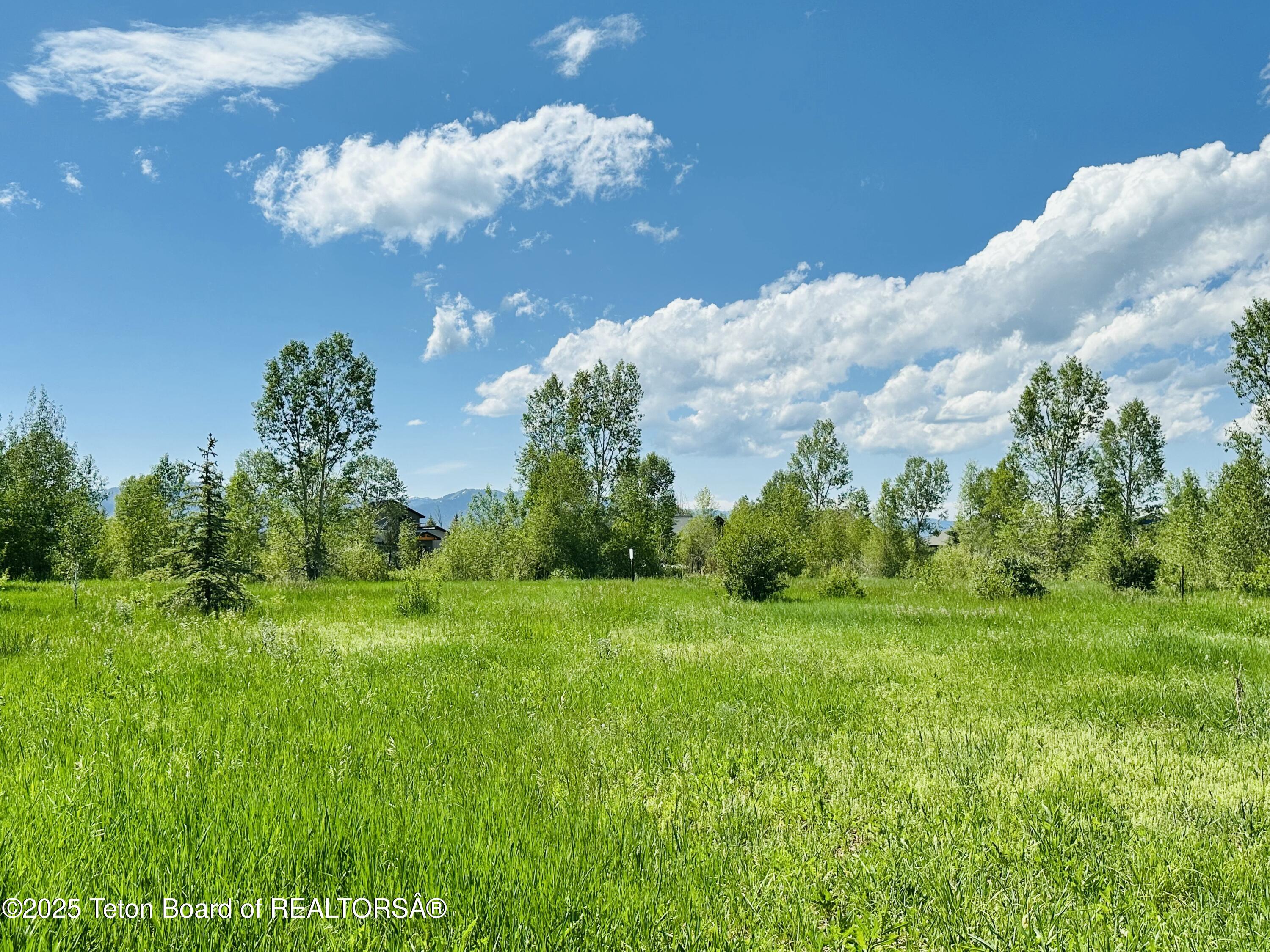 198 CATTAIL Road