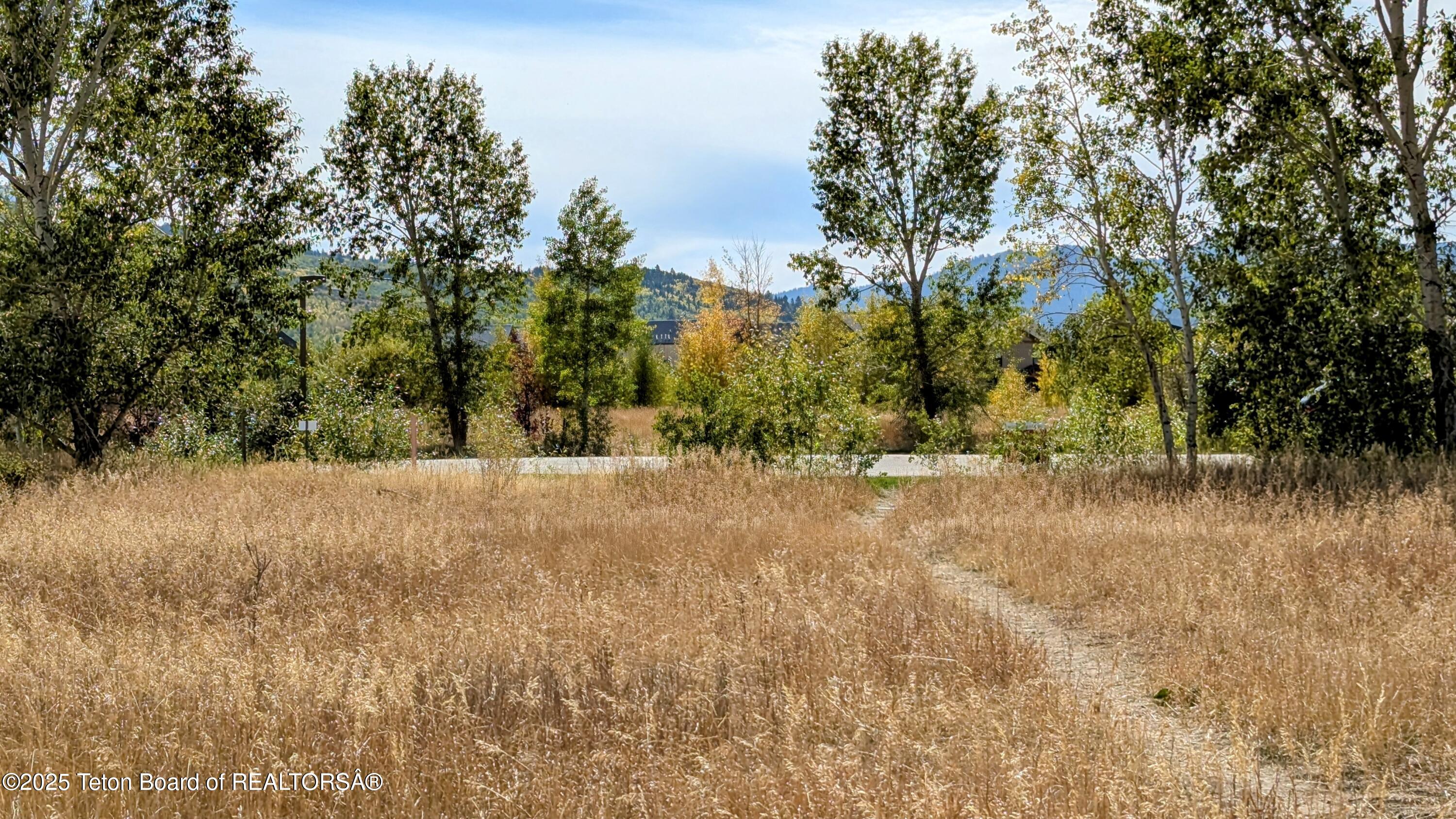 198 CATTAIL Road