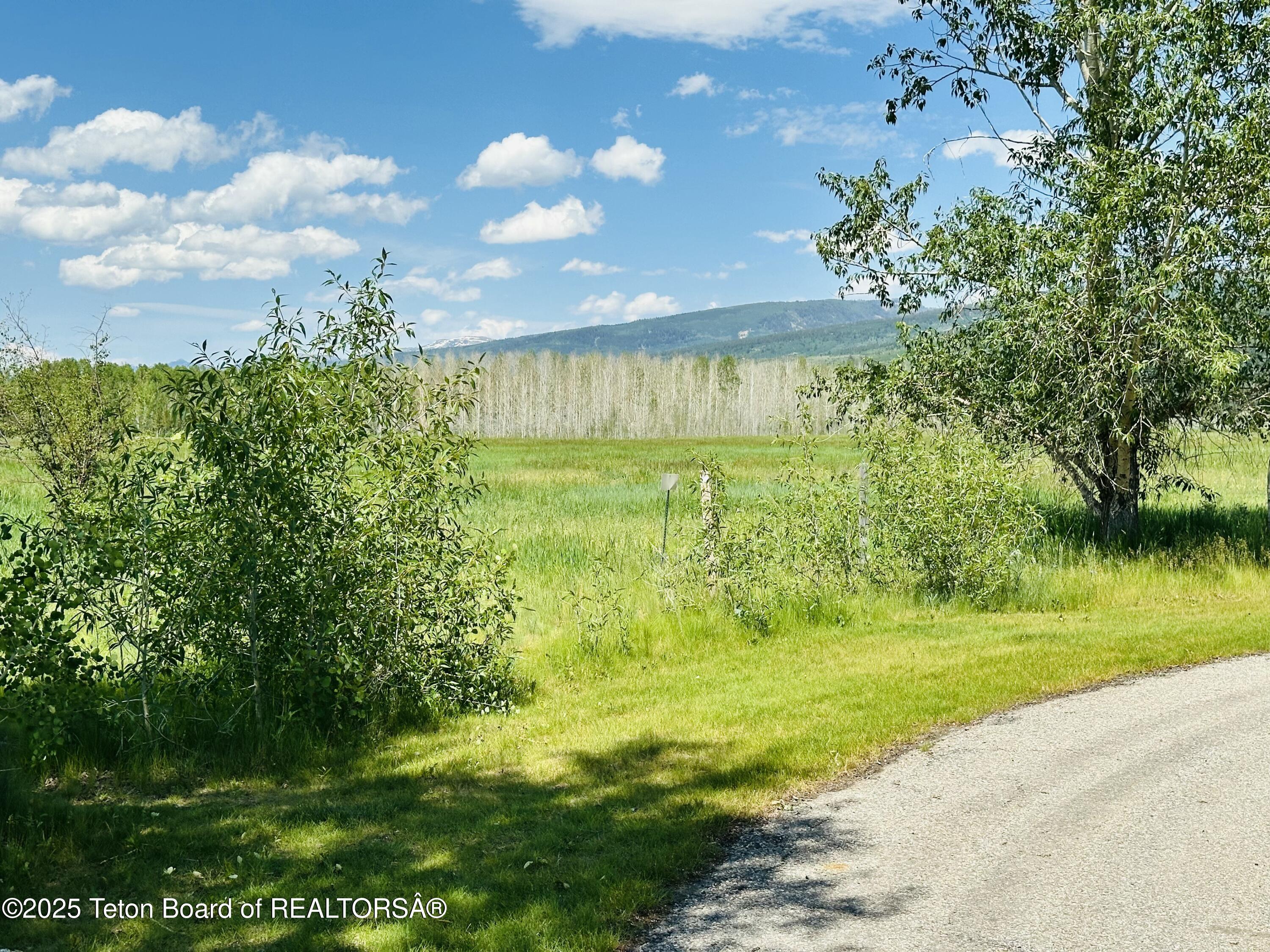 198 CATTAIL Road