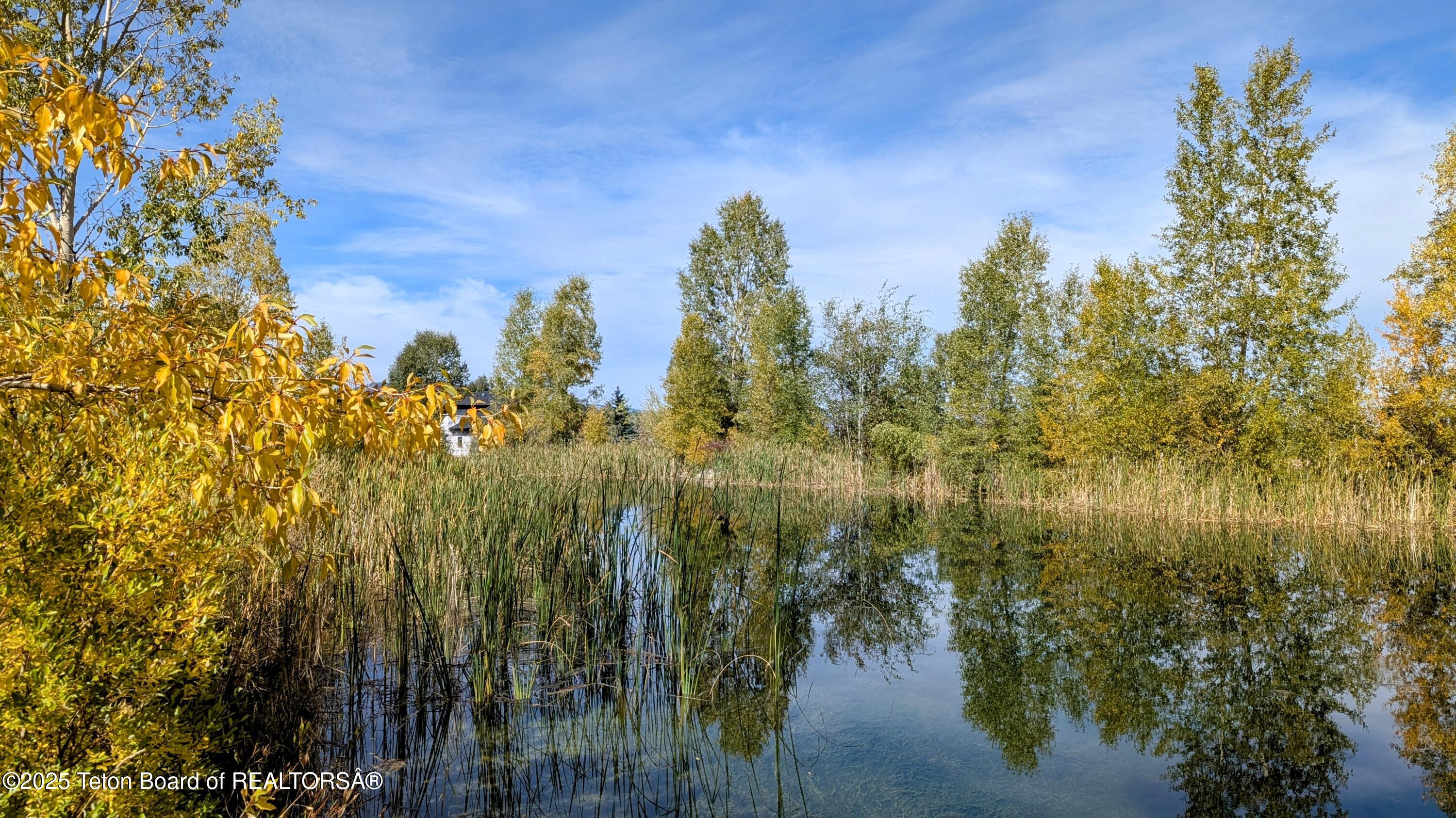 198 CATTAIL Road