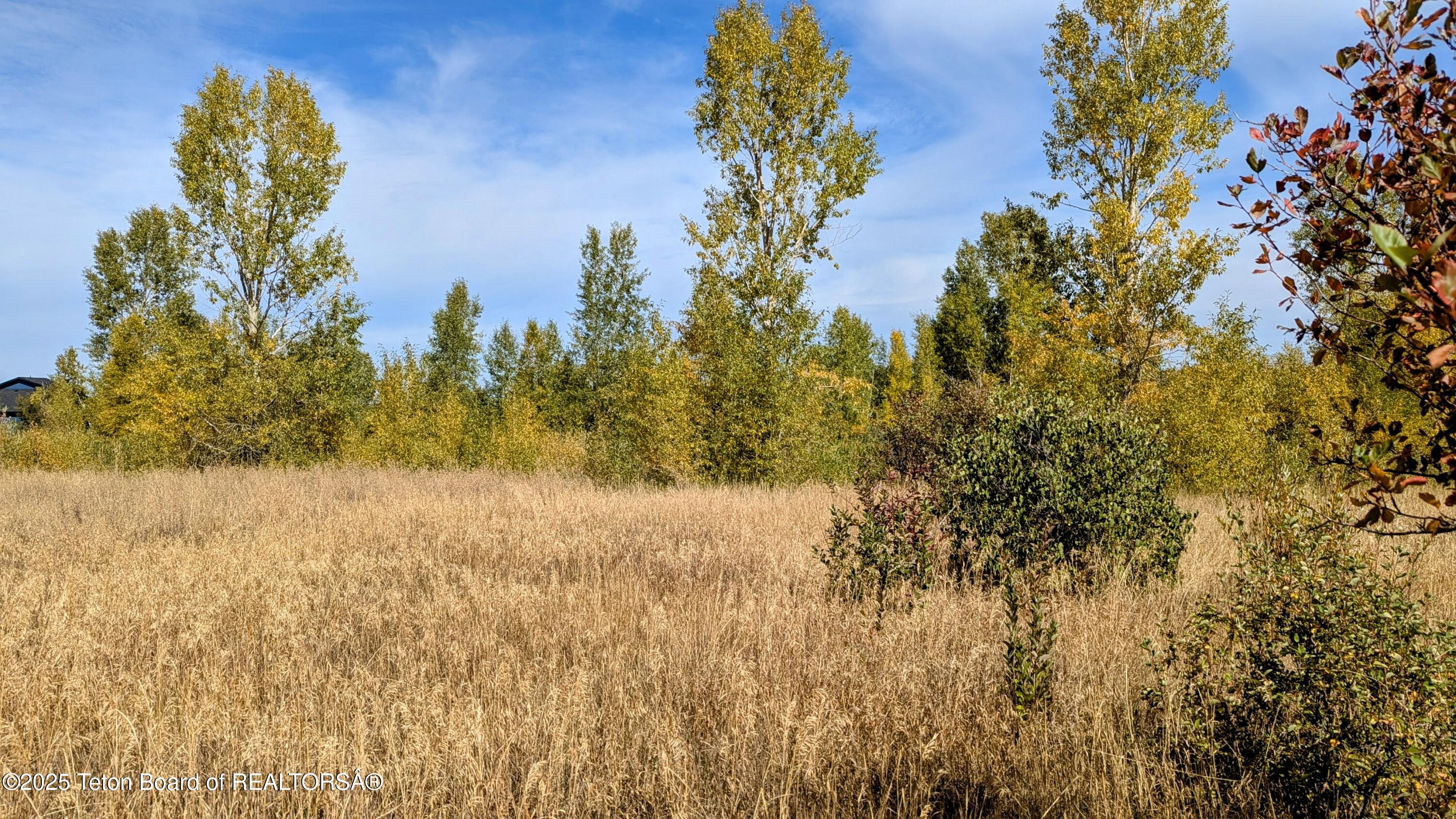 198 CATTAIL Road