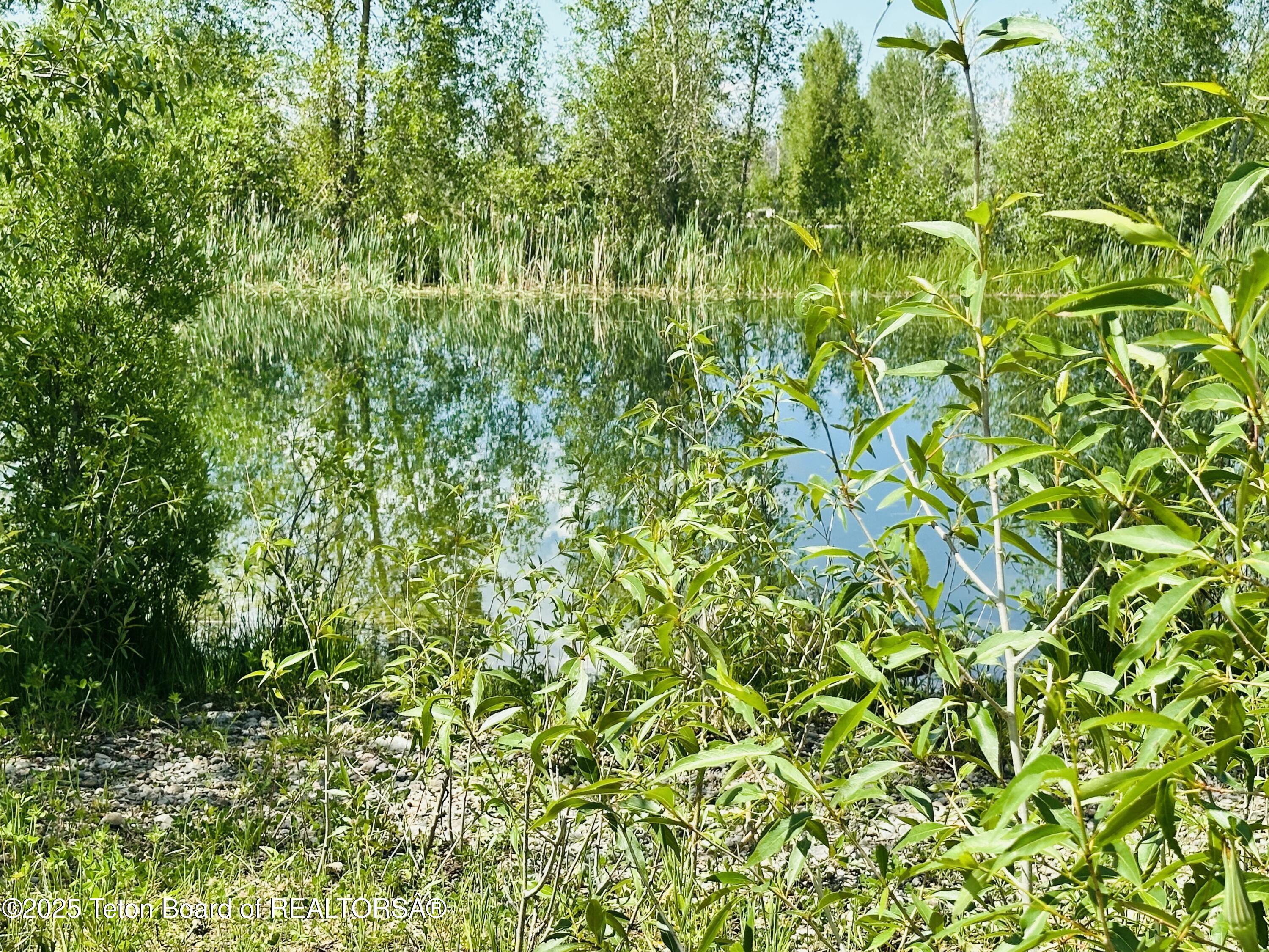 198 CATTAIL Road