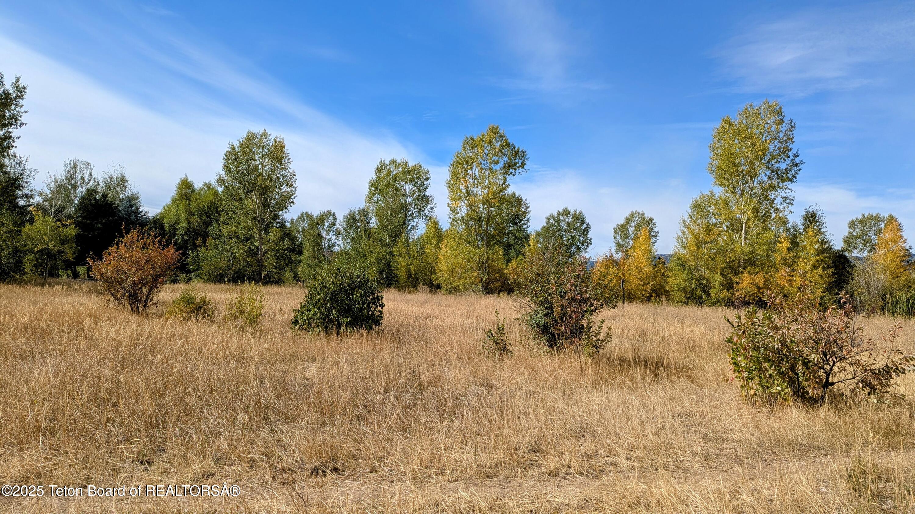 198 CATTAIL Road