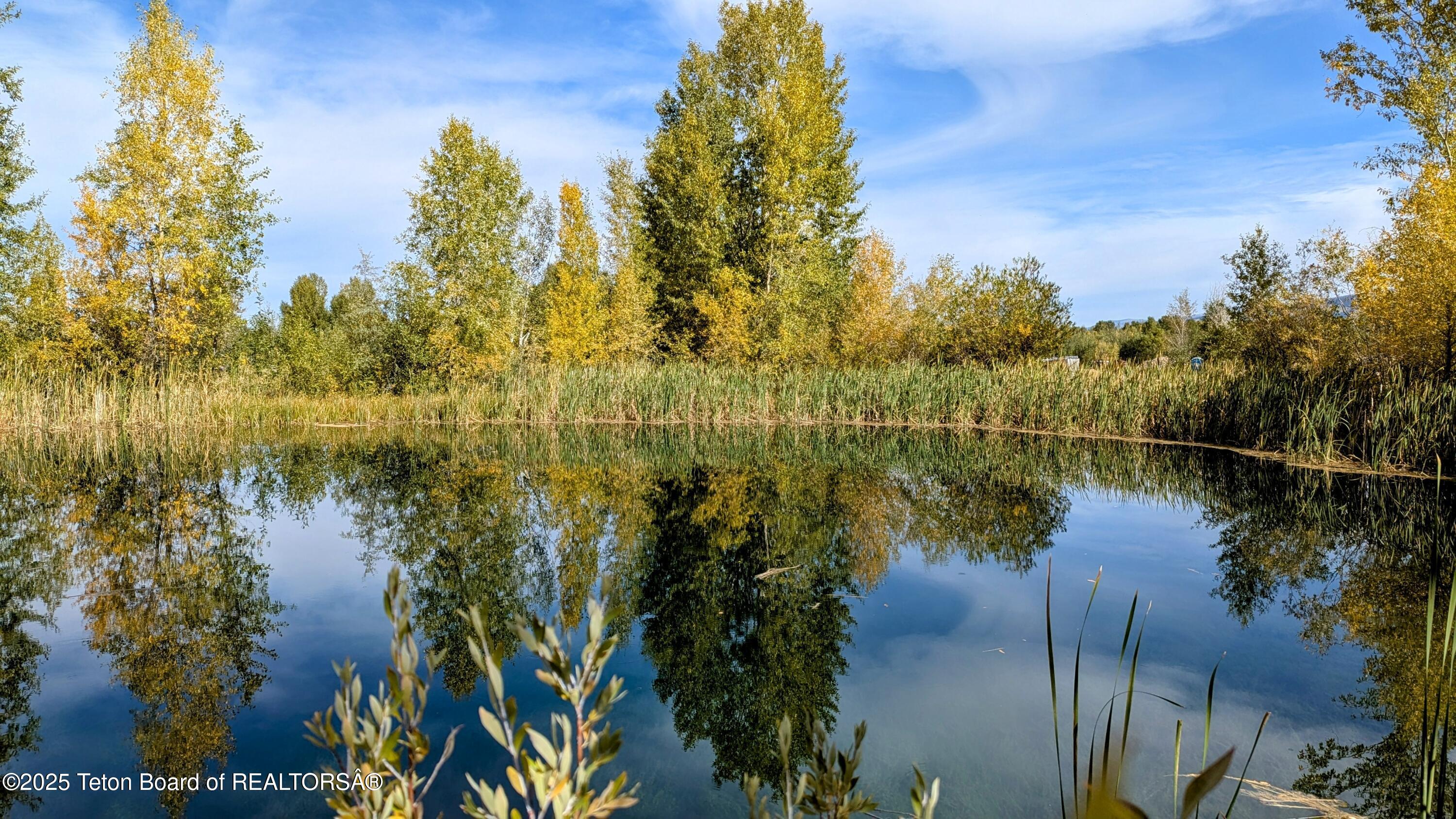 198 CATTAIL Road