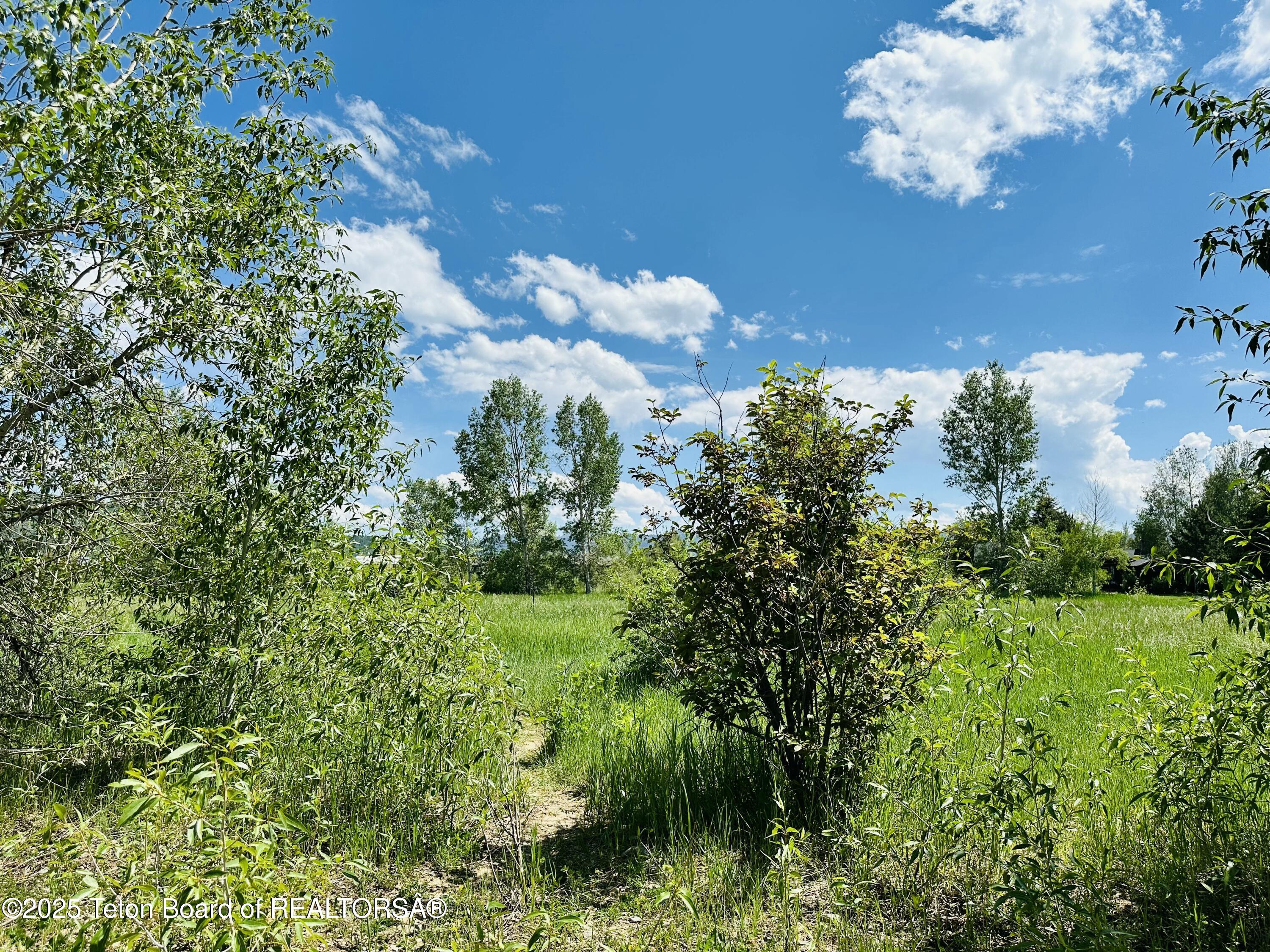 198 CATTAIL Road