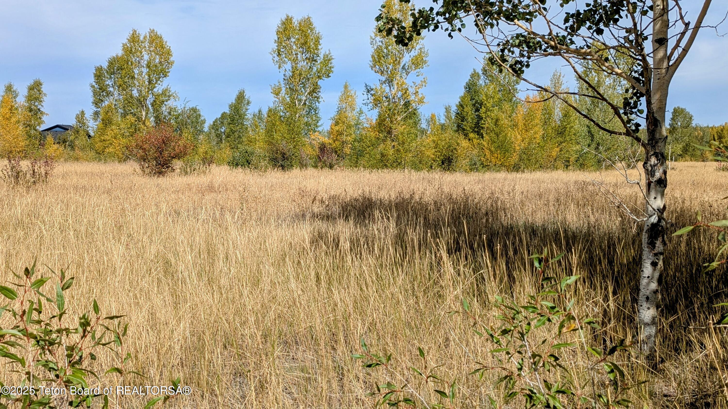 198 CATTAIL Road