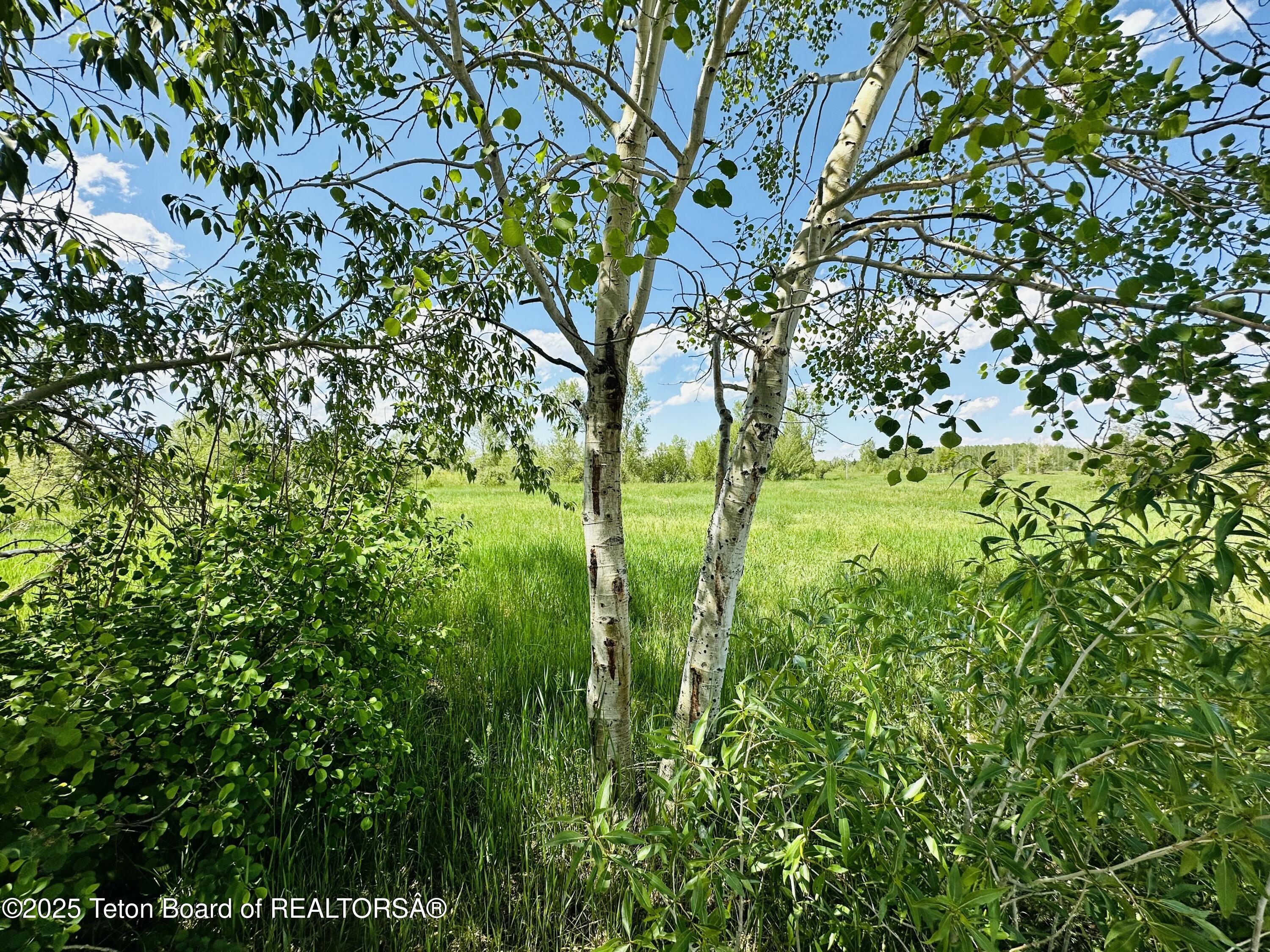 198 CATTAIL Road
