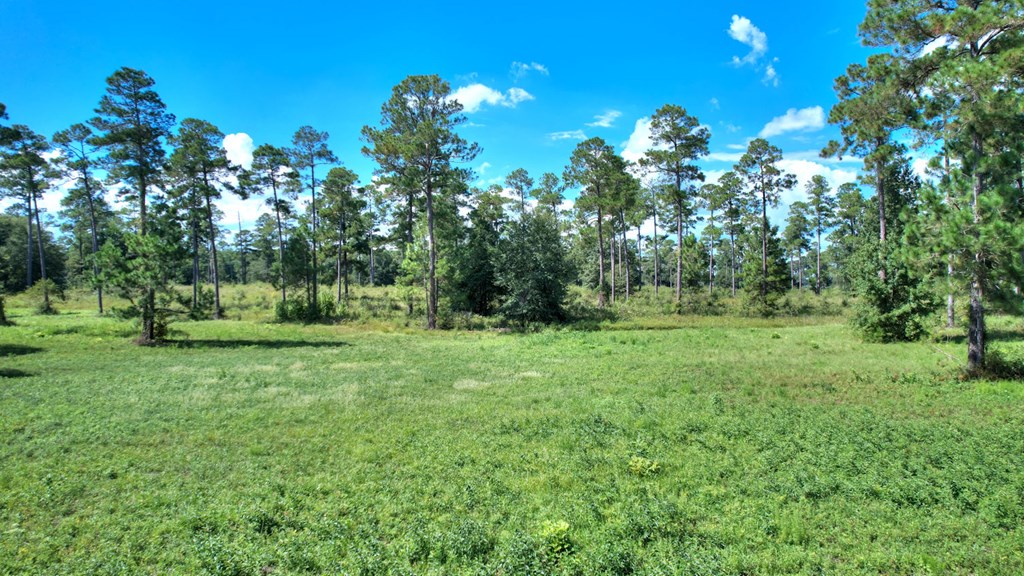 lot 23 Blk A - N Coney Rd