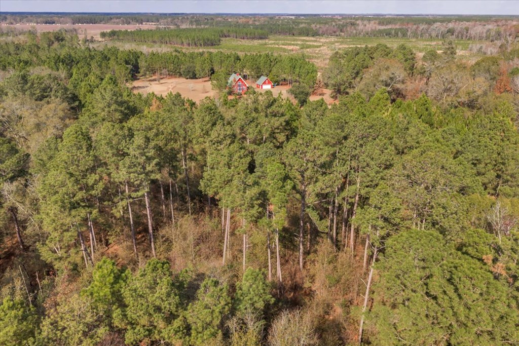 11157 Cannonville Rd