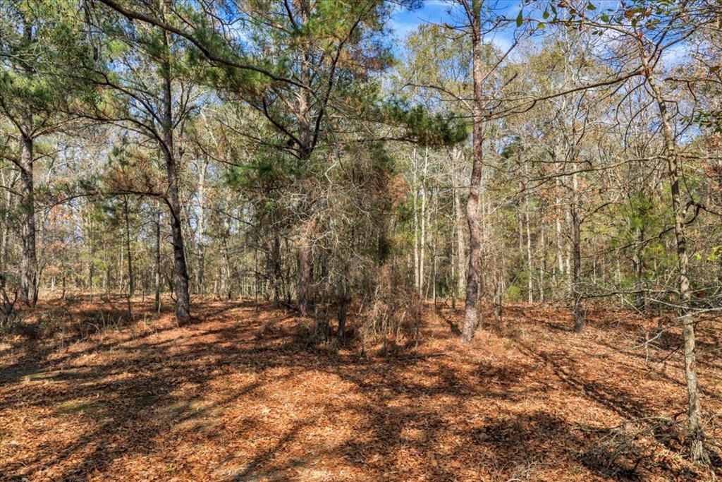 11157 Cannonville Rd