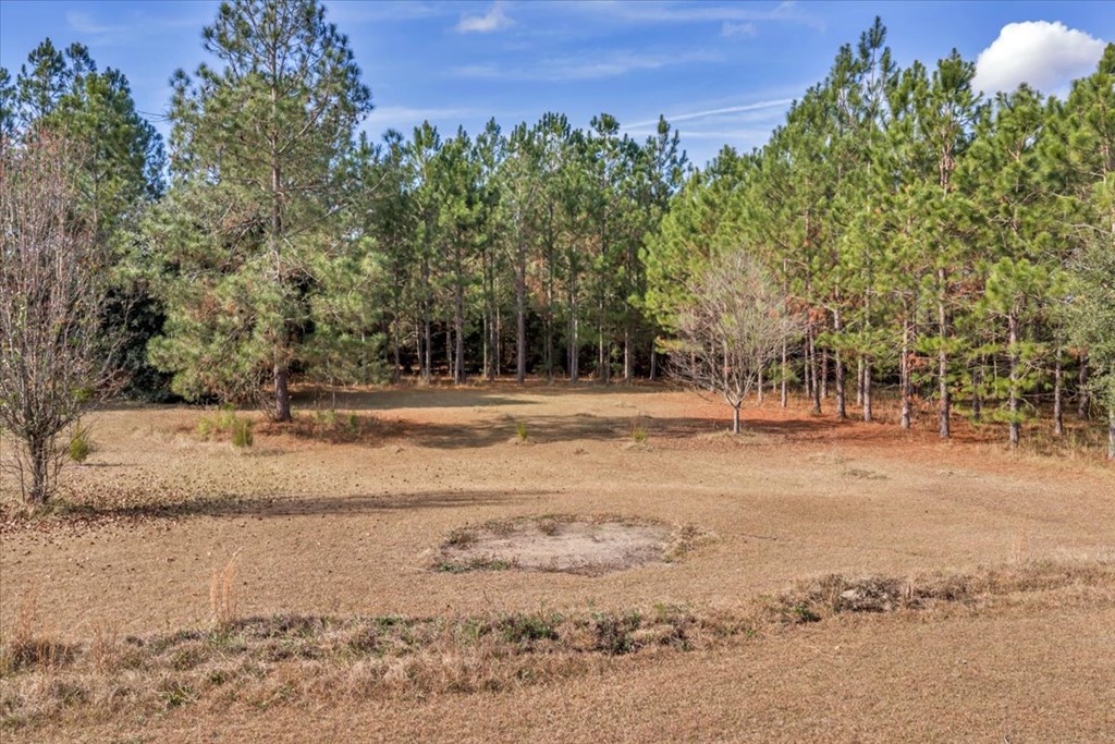 11157 Cannonville Rd