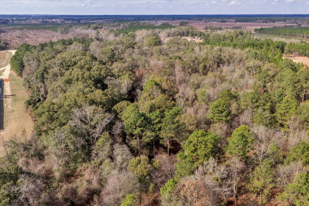 11157 Cannonville Rd