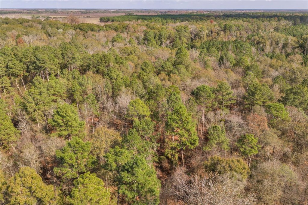 11157 Cannonville Rd