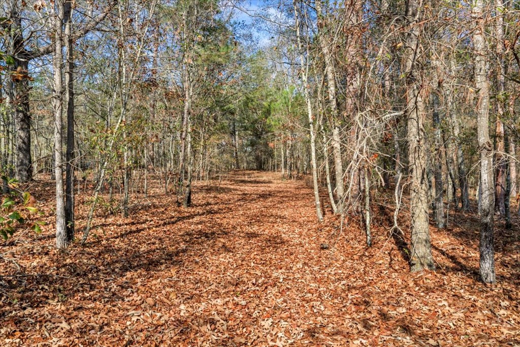 11157 Cannonville Rd