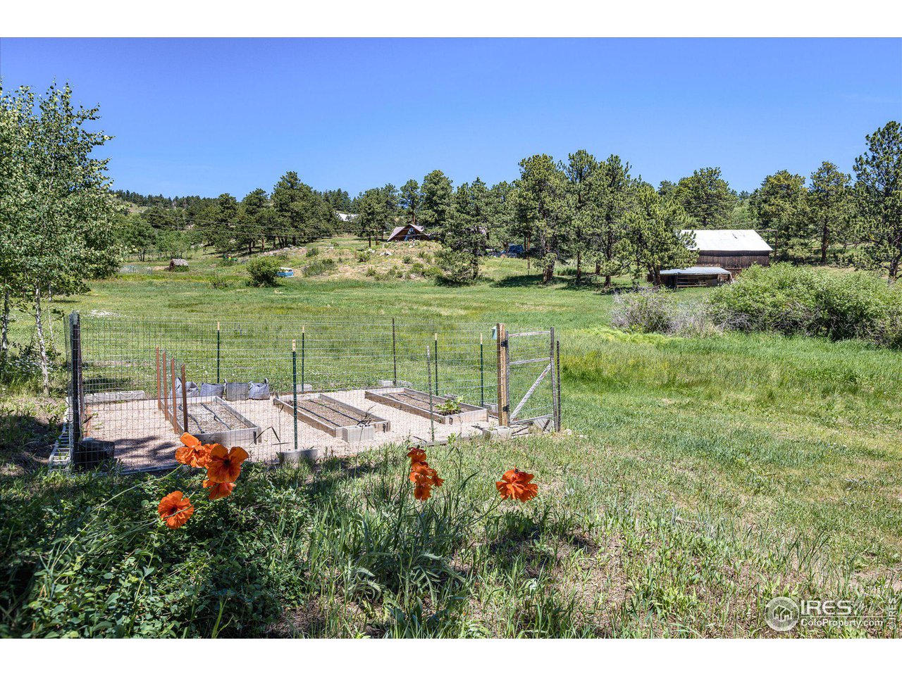 463 Pine Glade Rd
