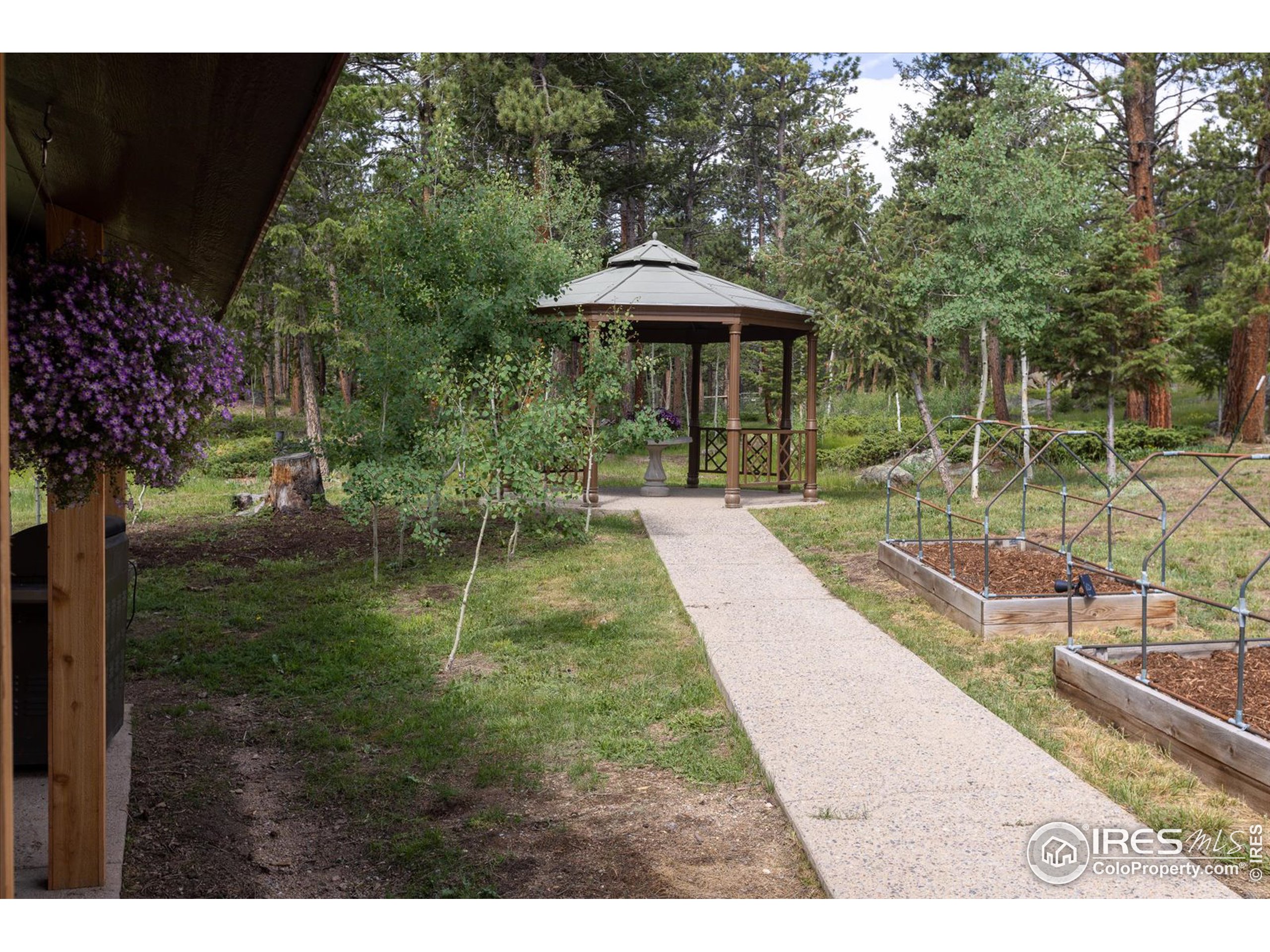 187 Lynx Dr