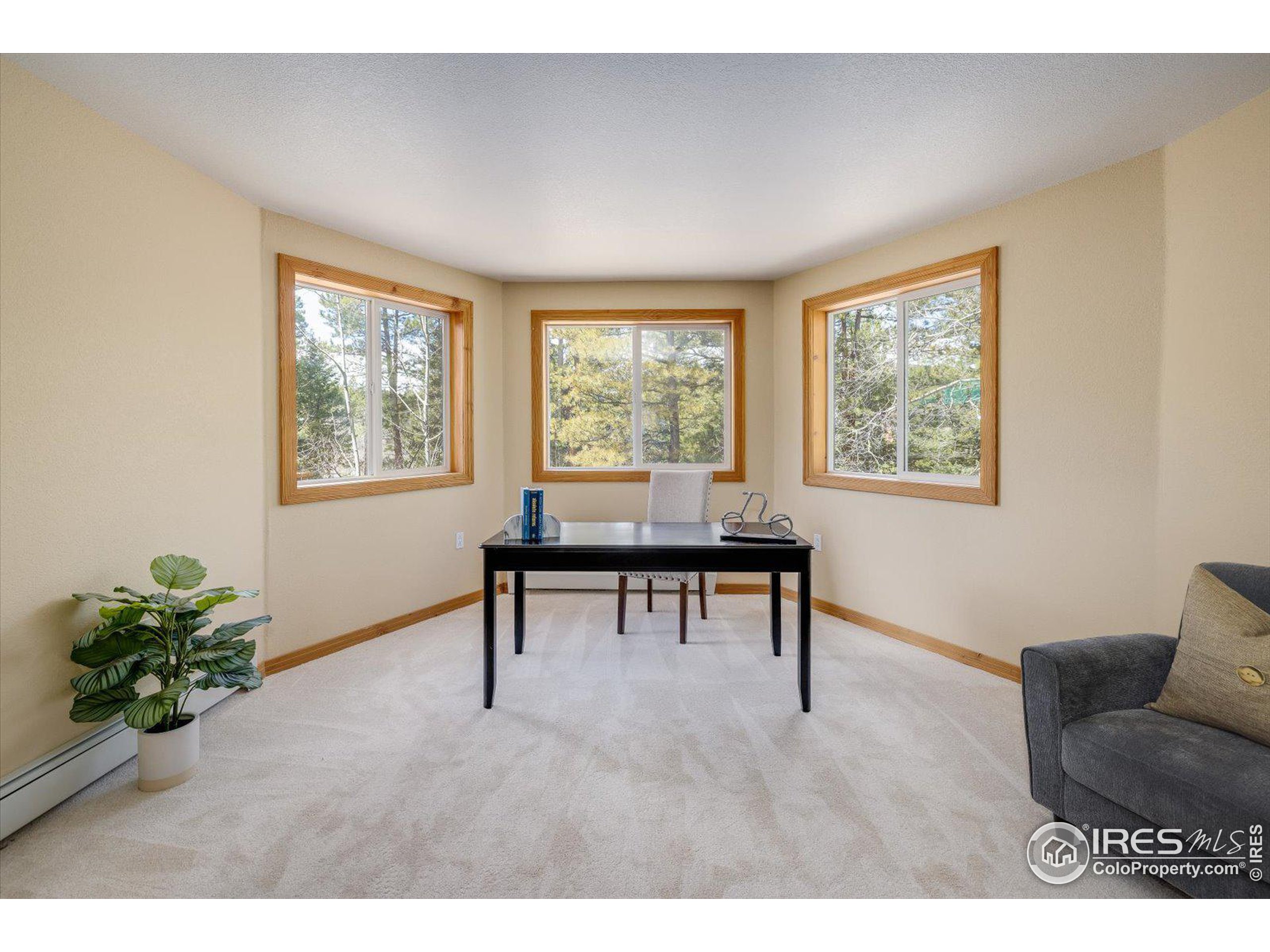 394 Ponderosa Way