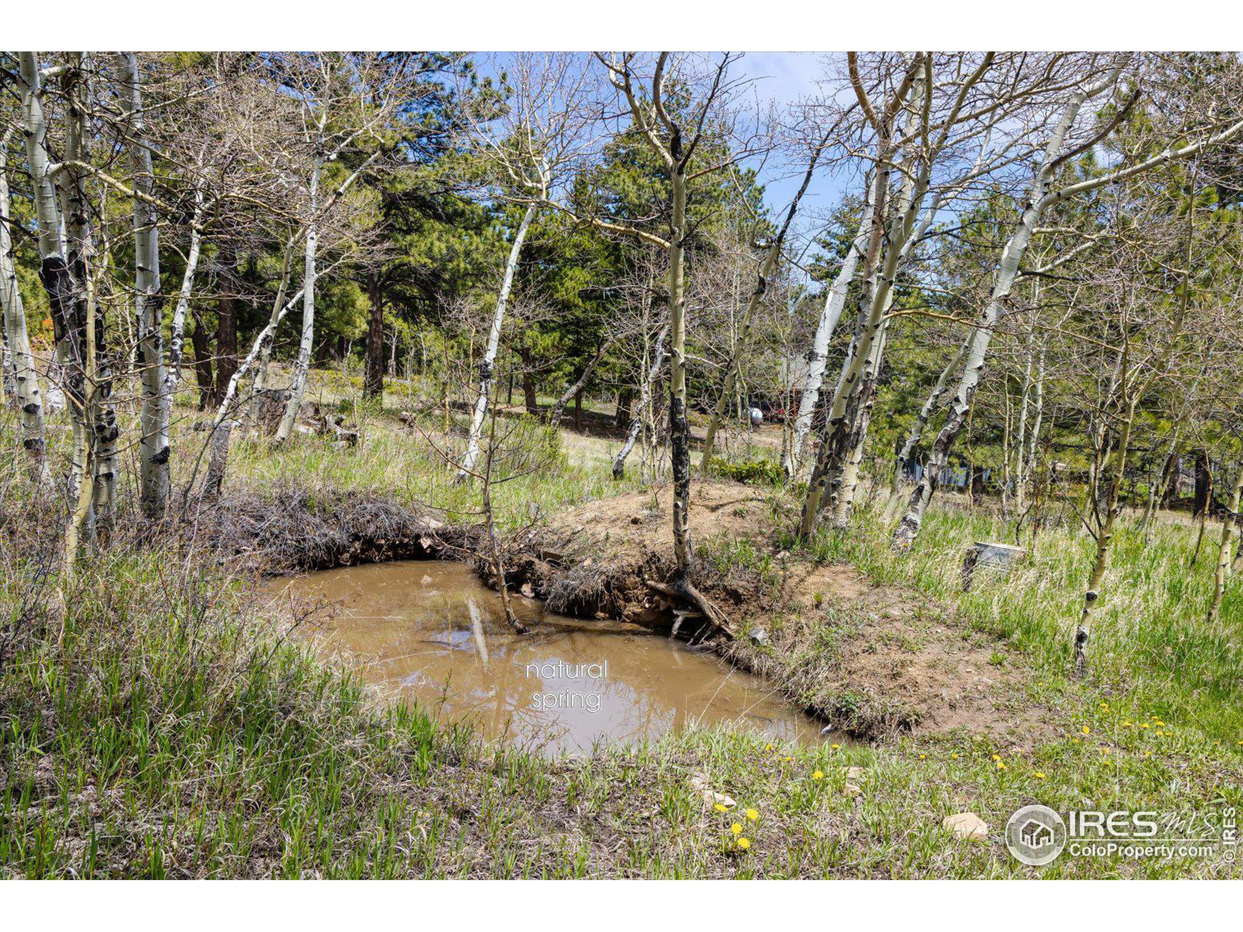 37 Pine Glade Rd