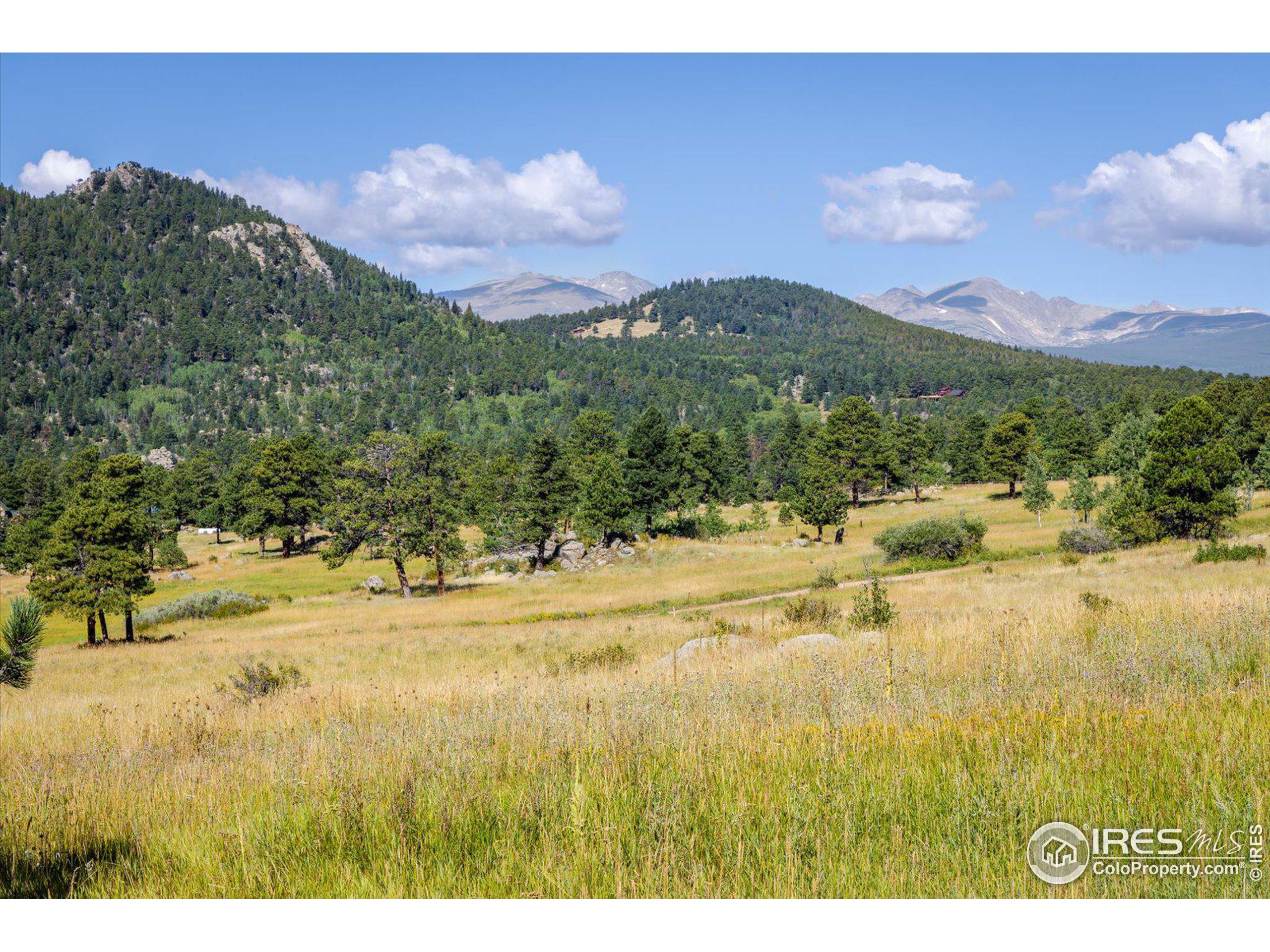 1567 Twin Sisters Rd